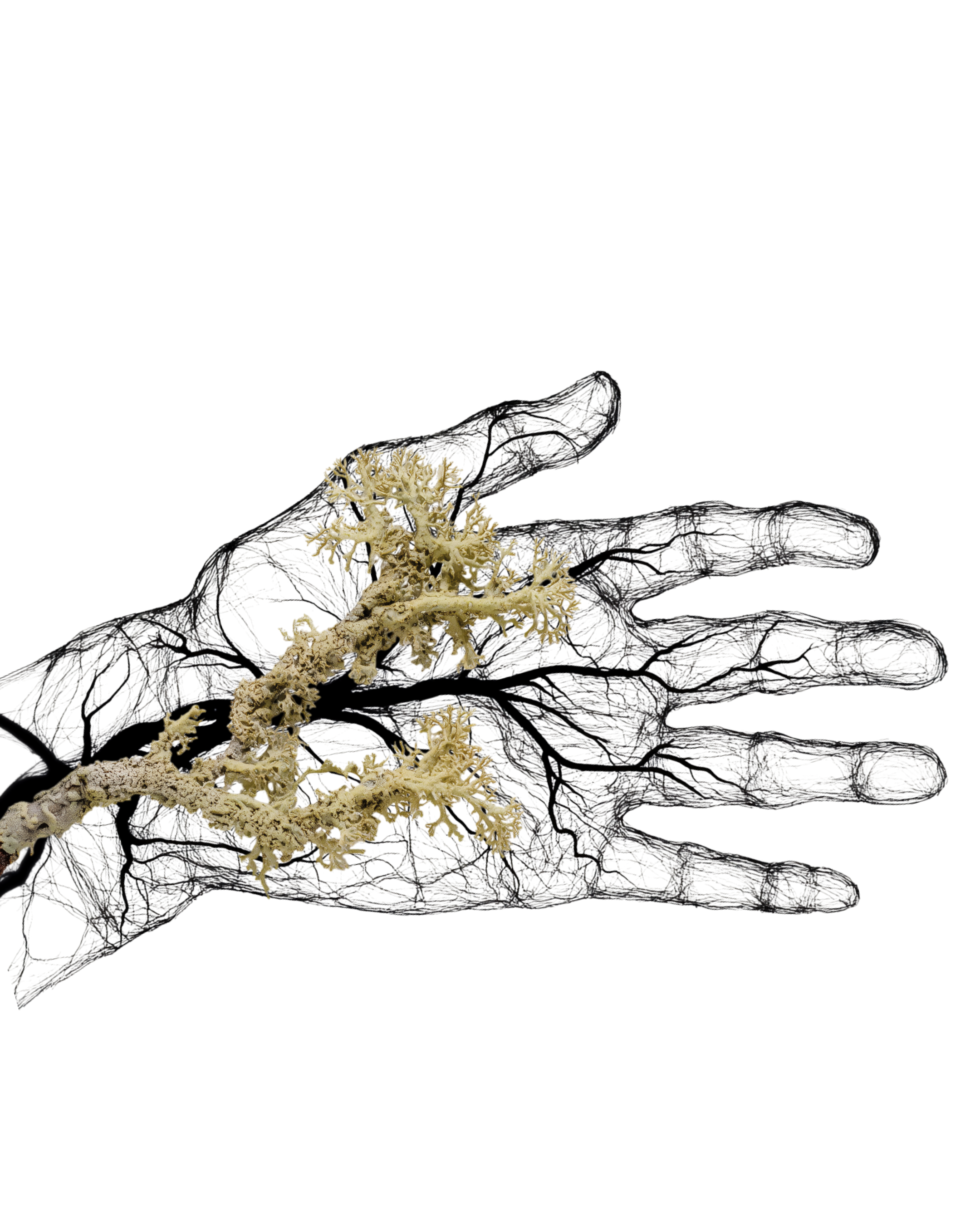 A human hand illustration with an overlay of a branching tree structure, showing veins and roots in black and beige colors.