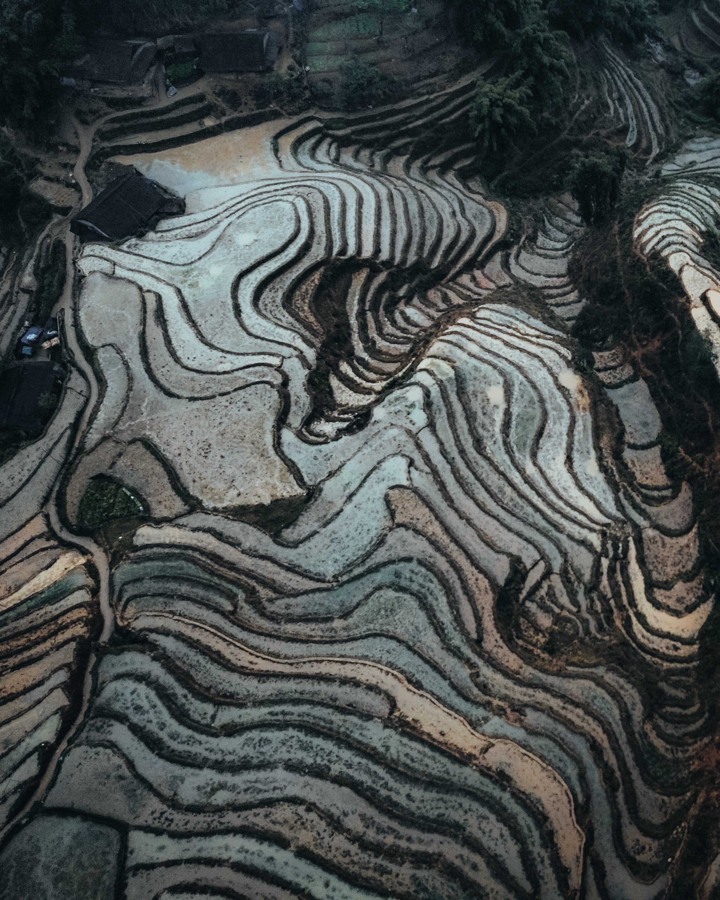 SP-dji20250129_175230_78_1738148013283_photo_optimized.jpg