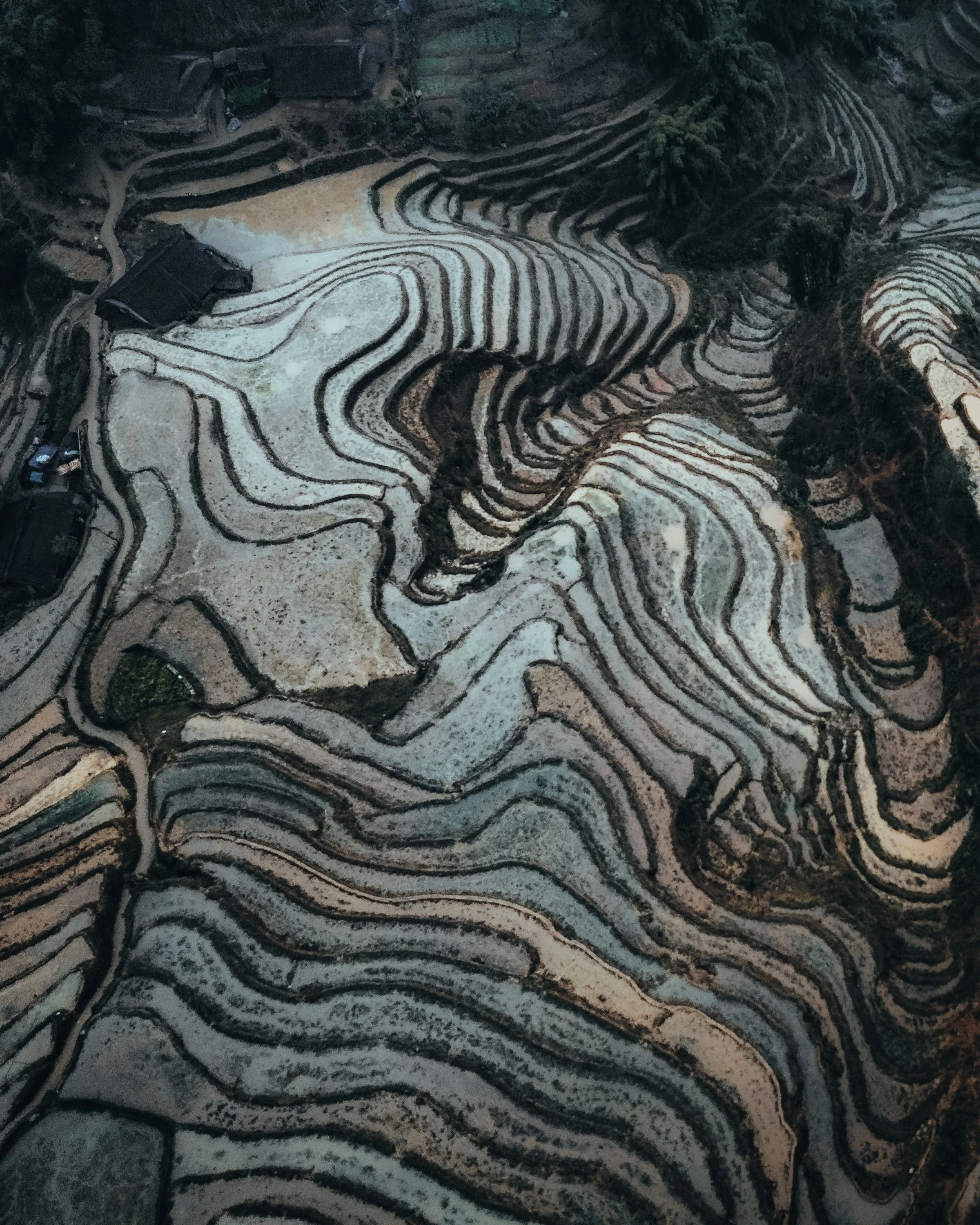 SP-dji20250129_175230_78_1738148013283_photo_optimized.jpg