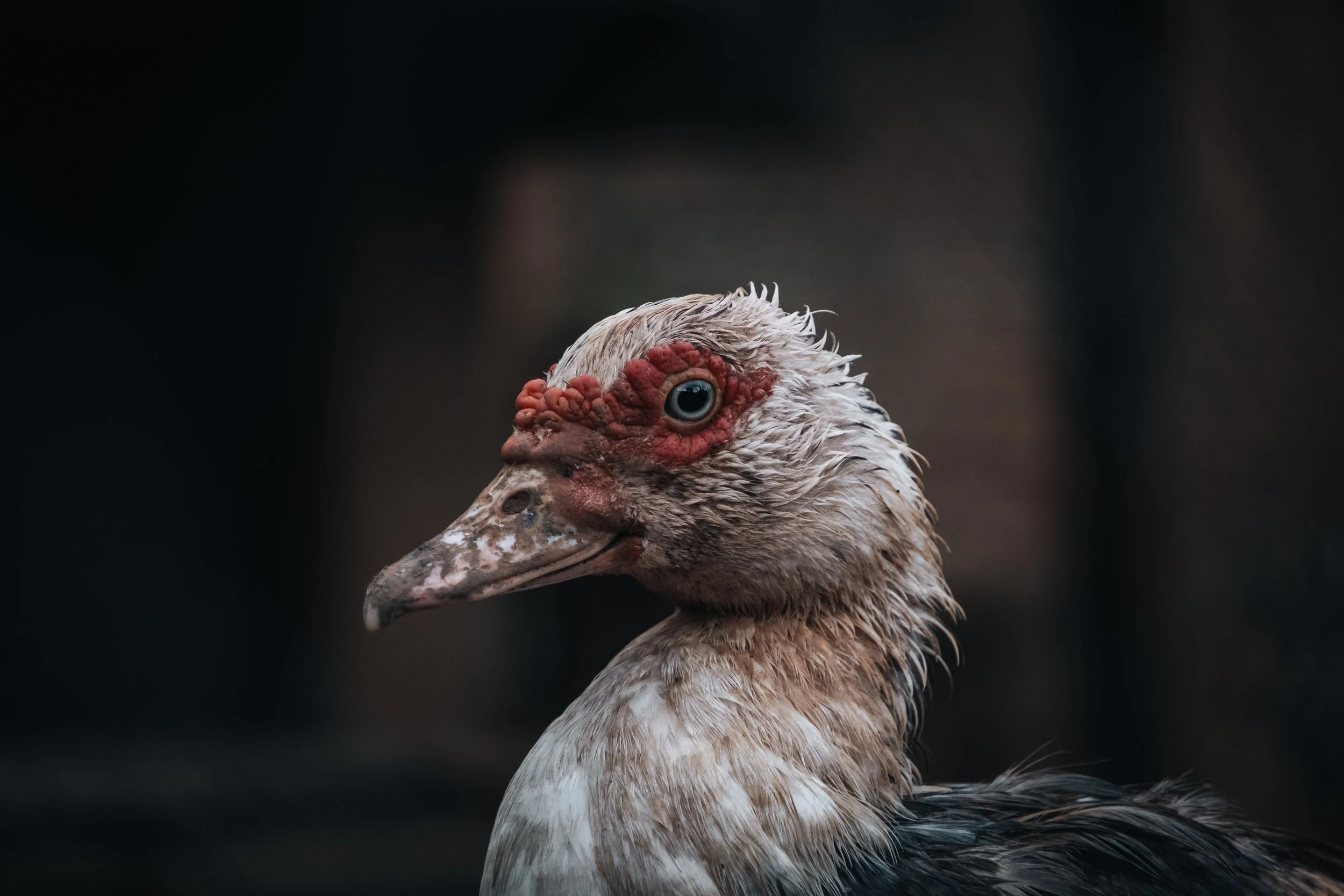MC-DSCF1410.jpg