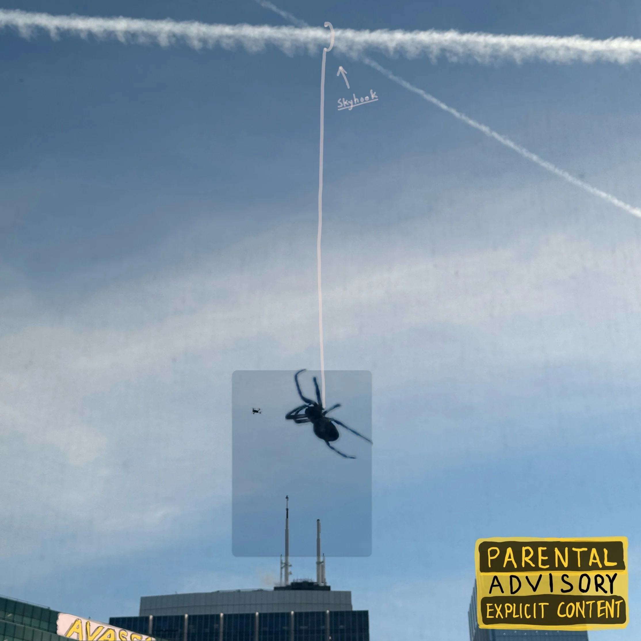 Ça Va Sauvage.jpeg (Copy)