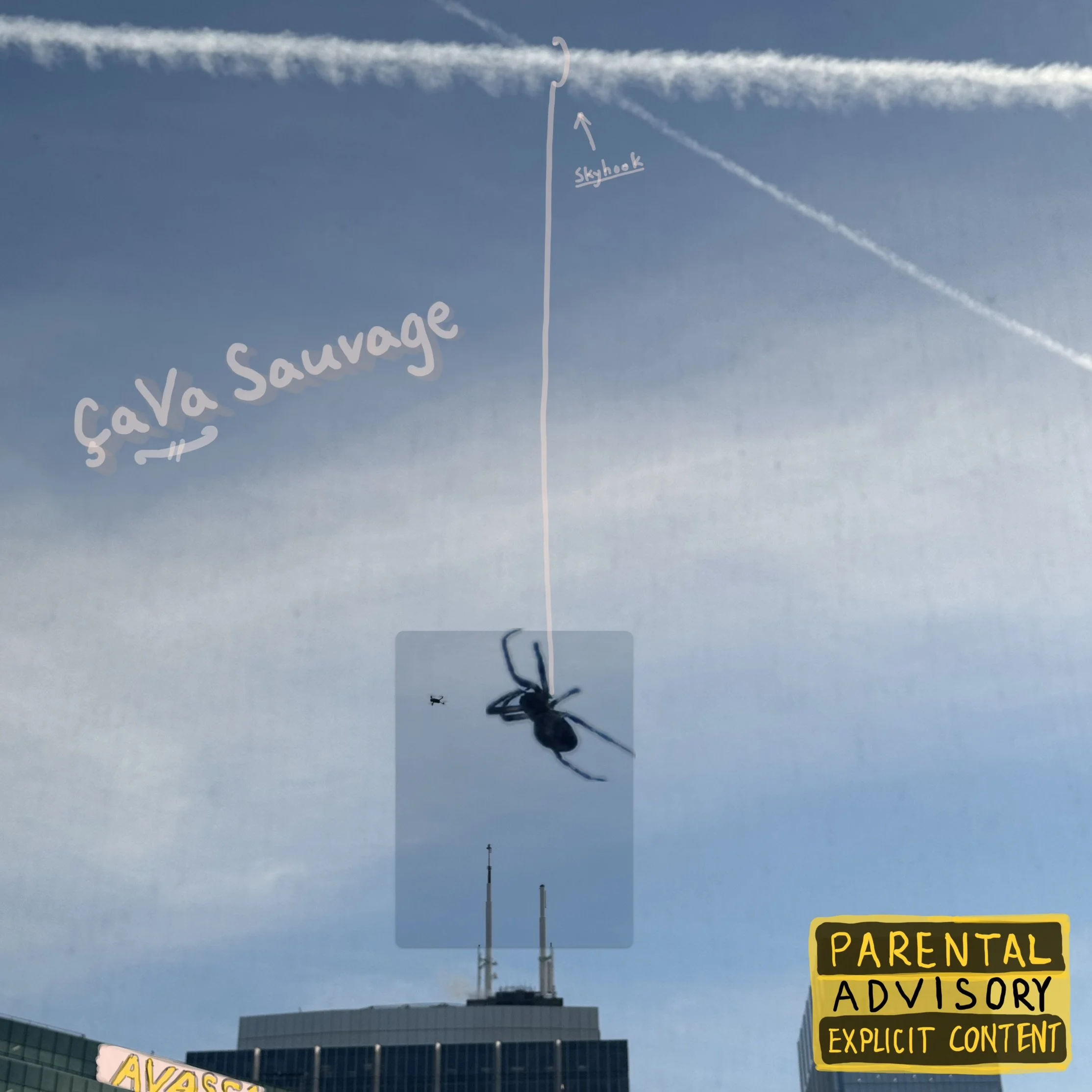 Ça Va Sauvage Alternate Cover.jpeg