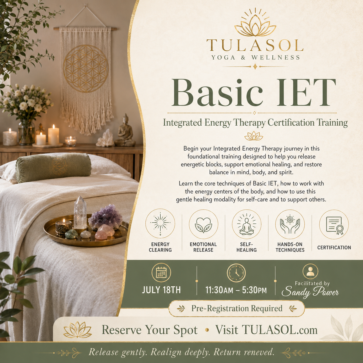 Basic IET: Integrated Energy Therapy Certification Training