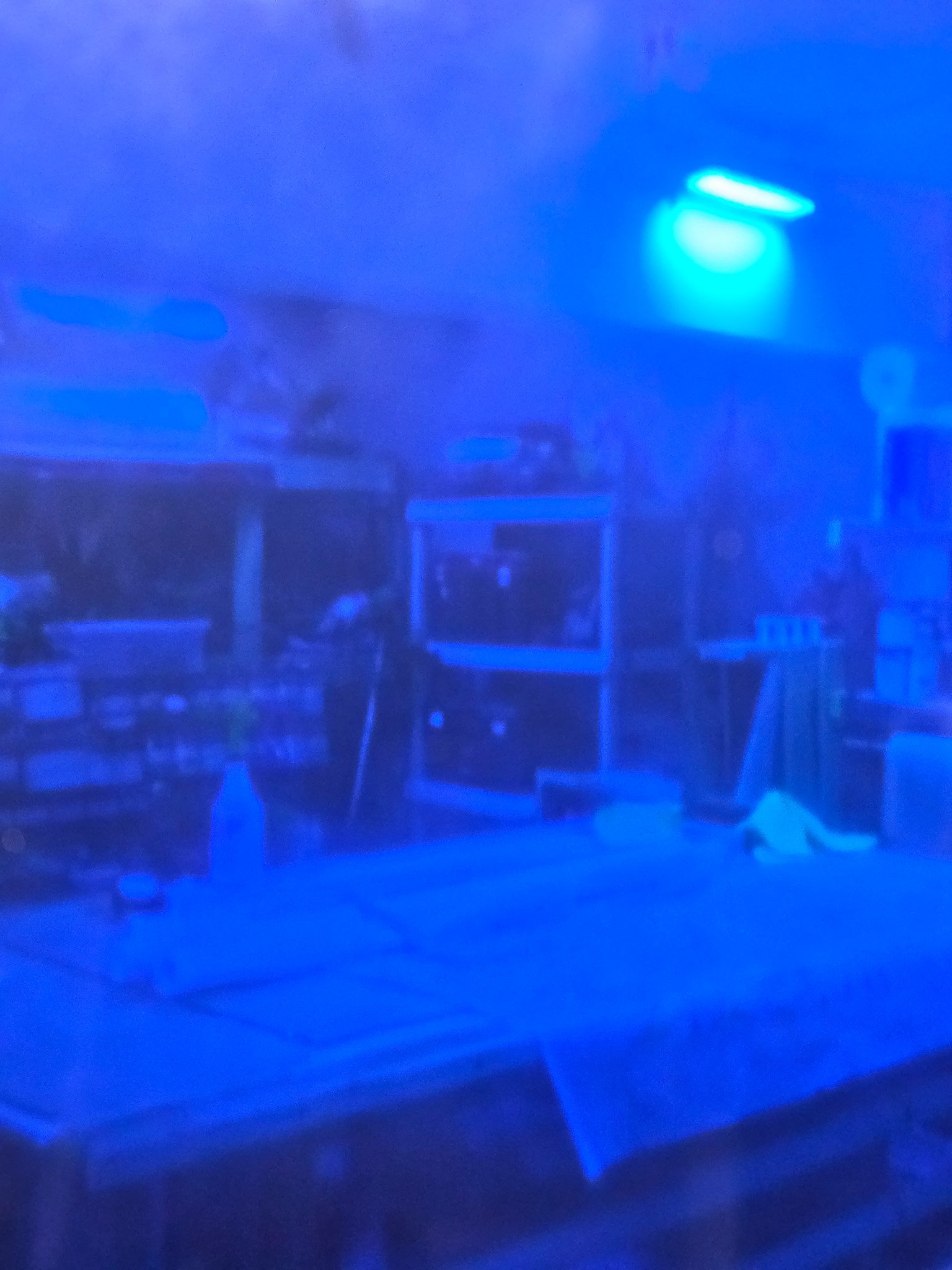 20260808_123754.jpg