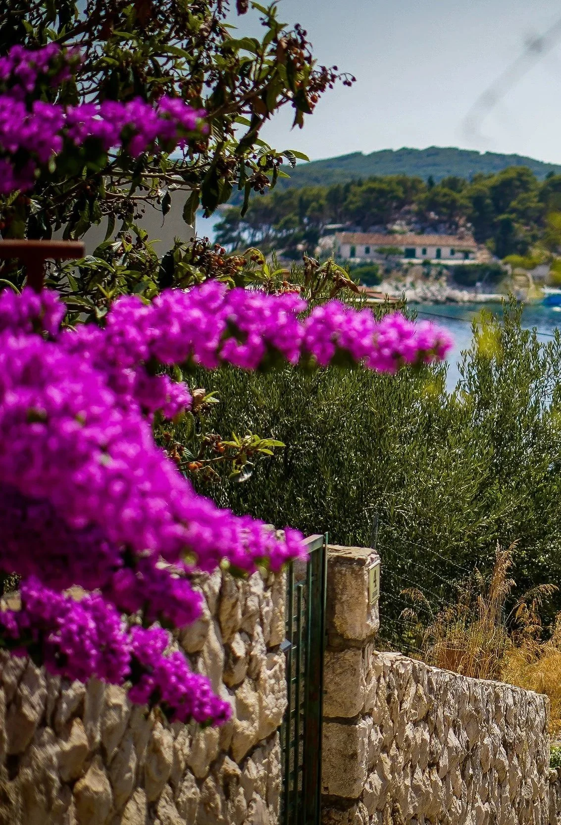 The Dalmatian Coast, Decoded 