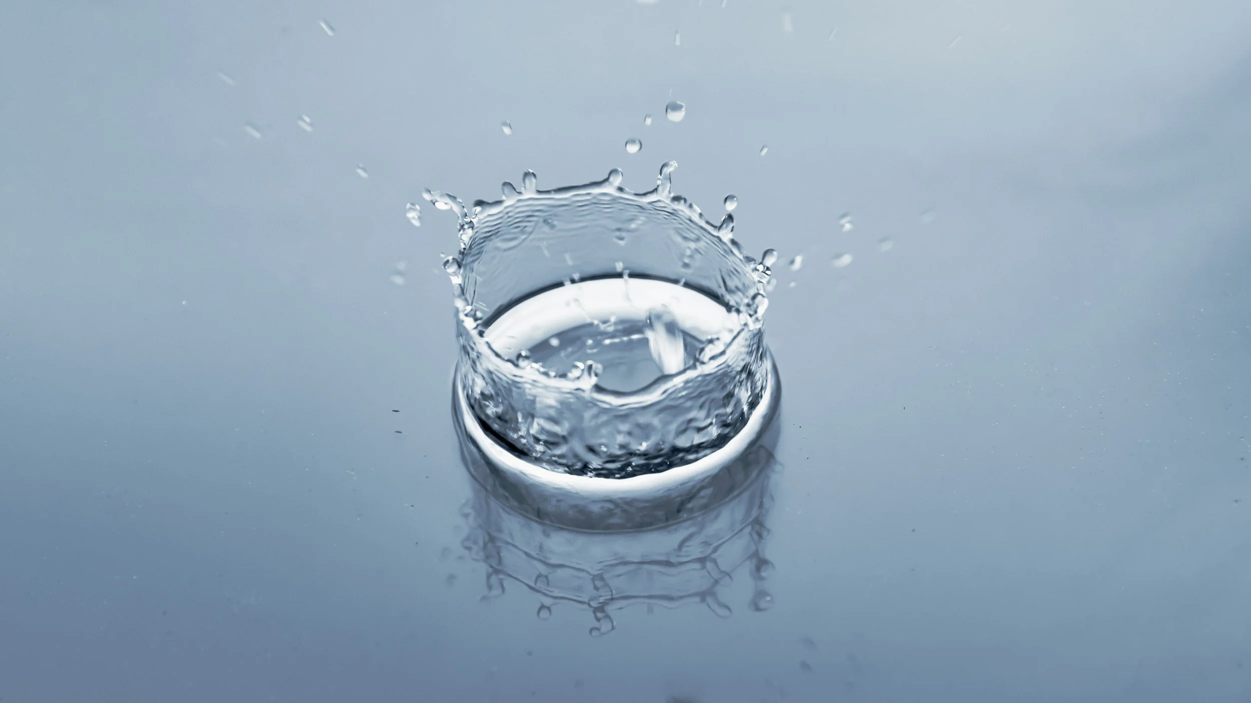 Blog : Cultivating Resilience Through a Systems Thinking Lens