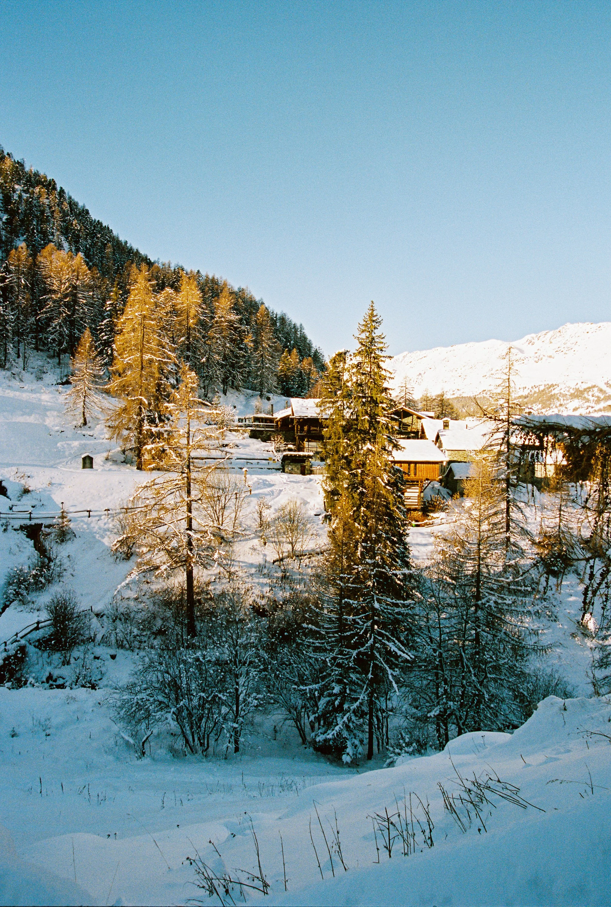 Zara Champoluc 25' 29.jpg