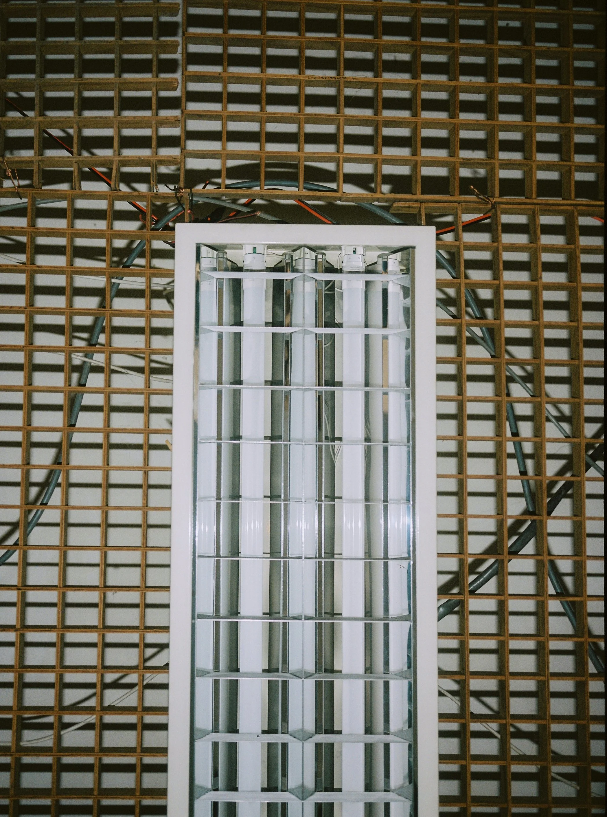 FN WEBSITE FIRST.jpg