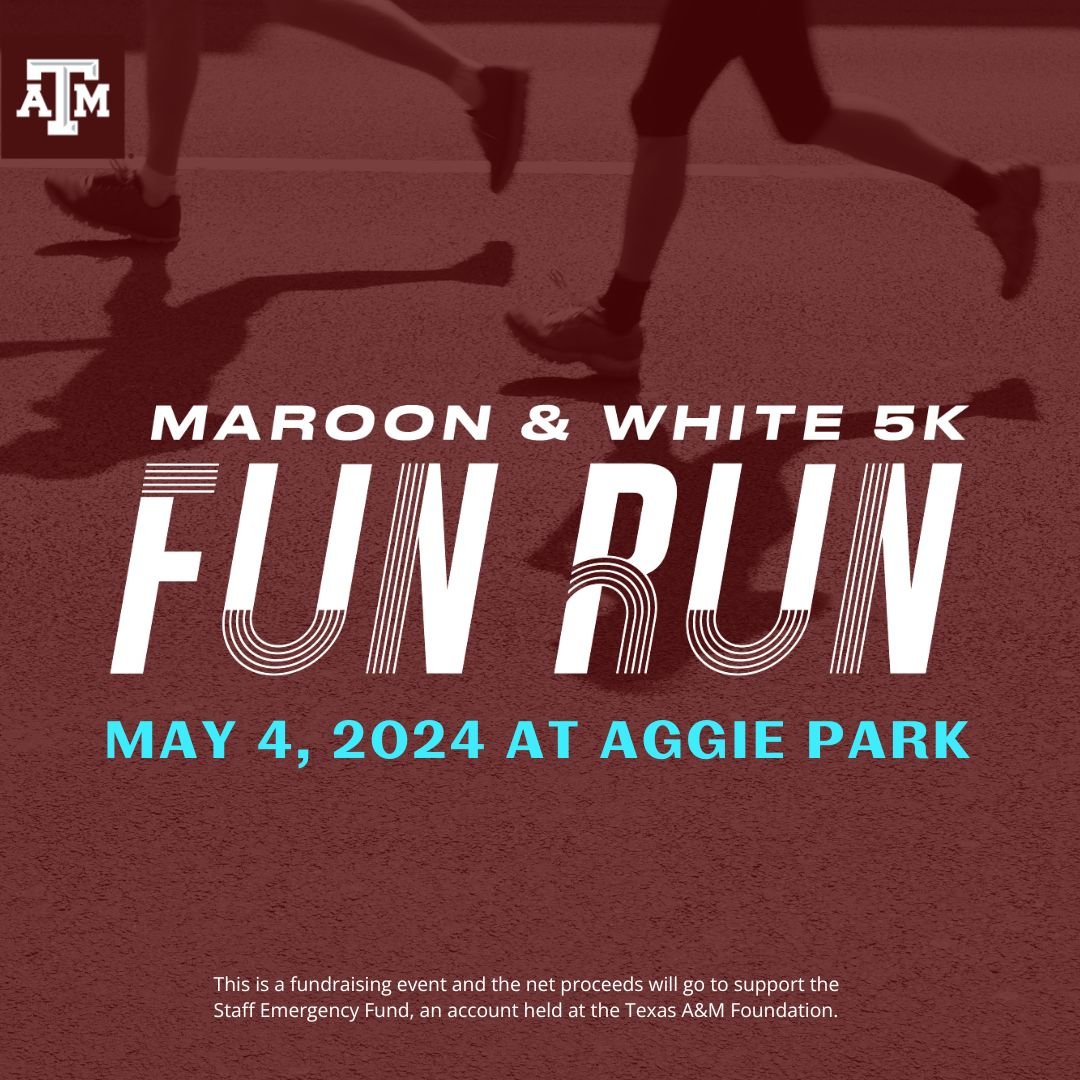 Fun Run web banner (Instagram Post).jpg