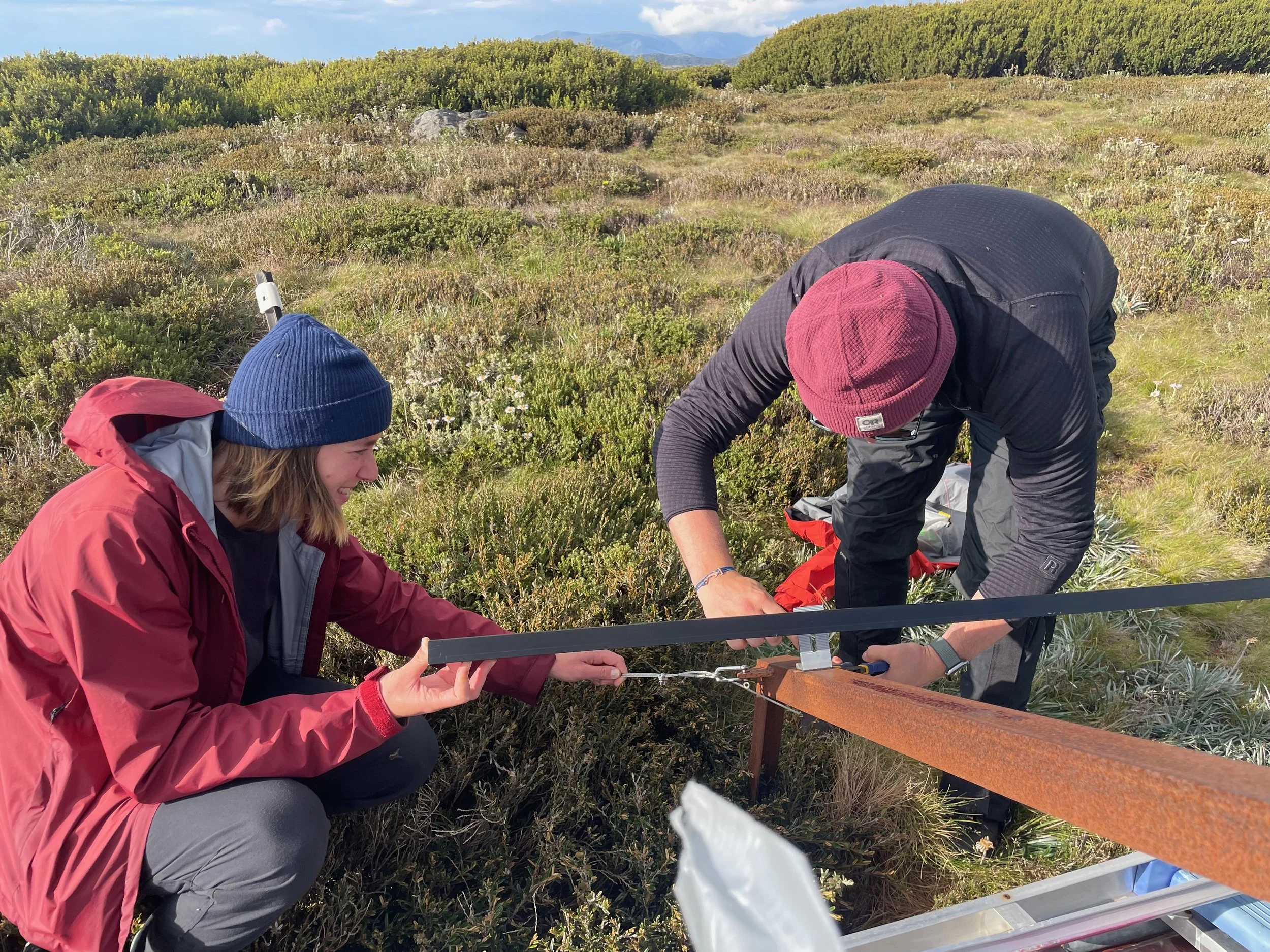 Australian Institute of Alpine Studies Newsletter 02 