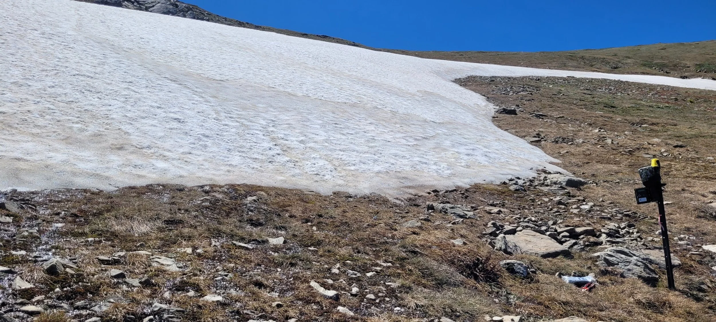 Snowpatch 1.jpg