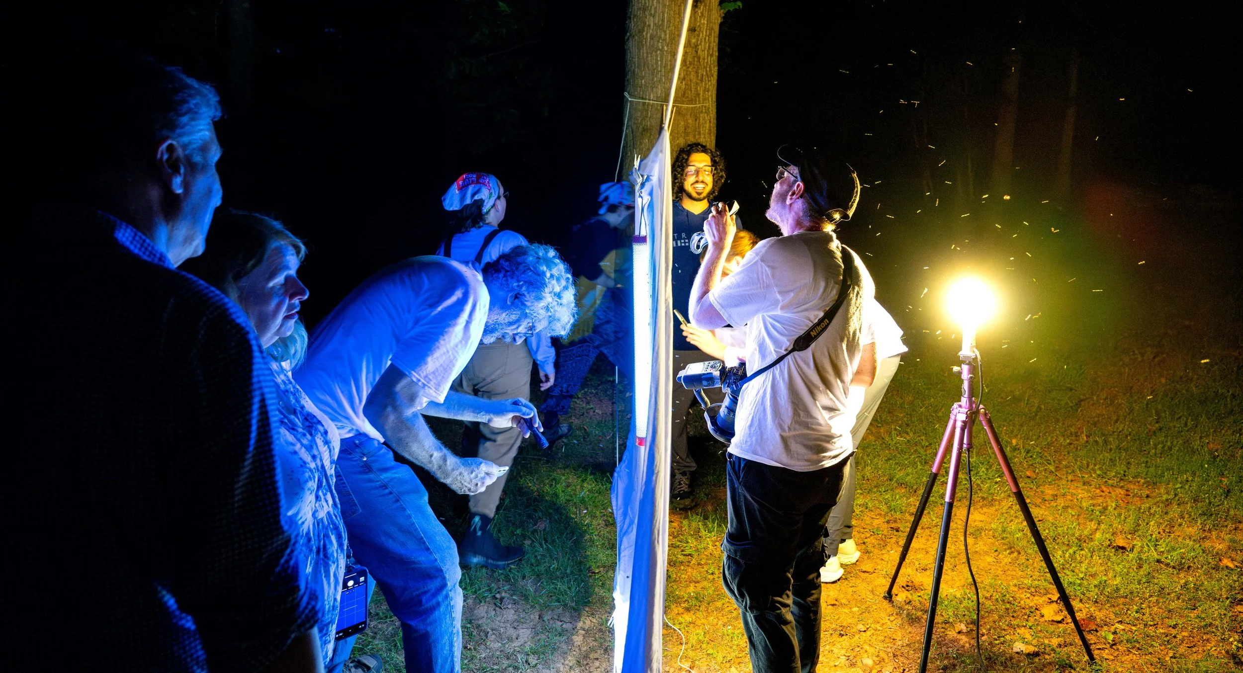 My Experience at Mothing