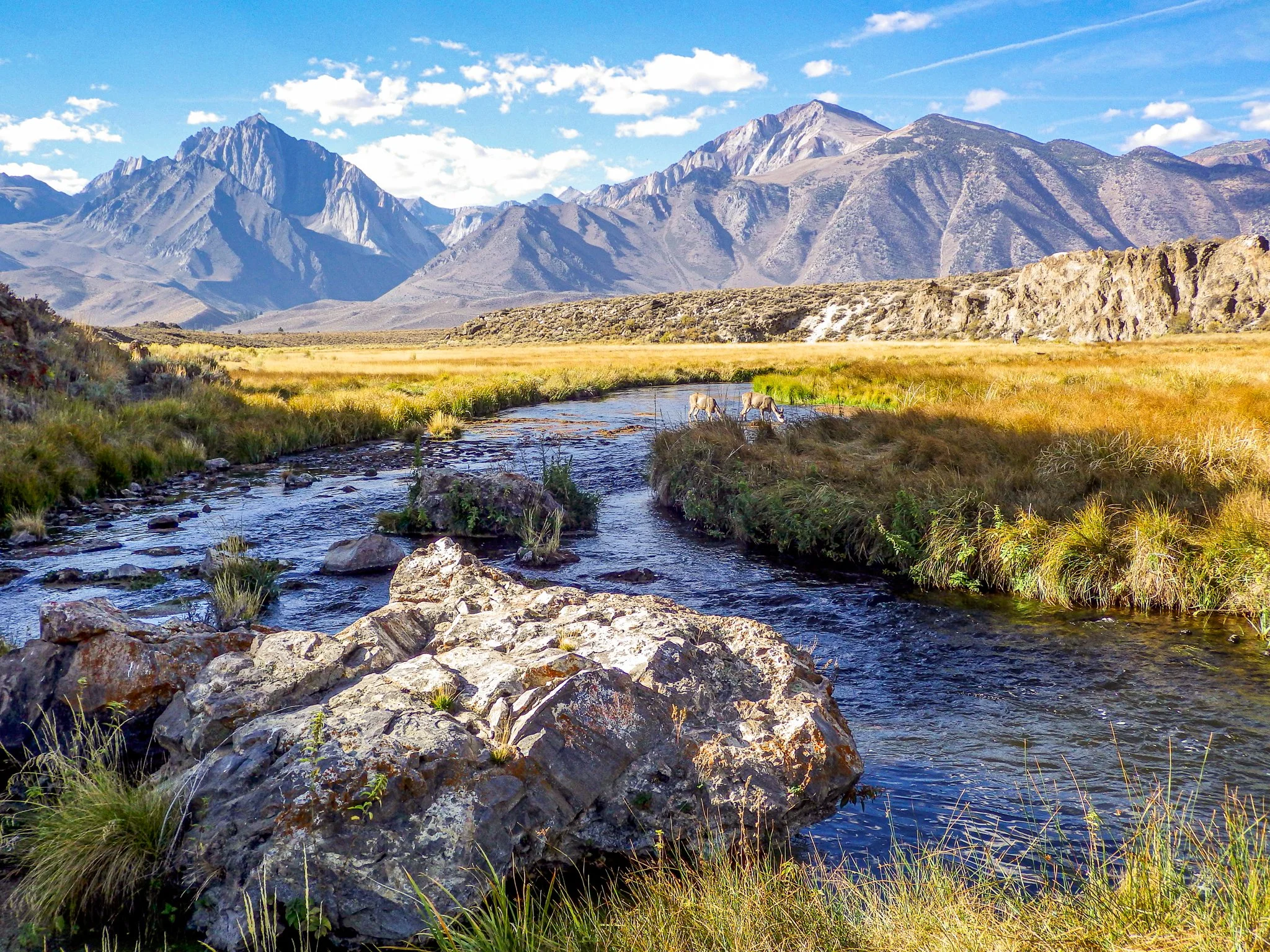 Hot Creek Ranch.jpg