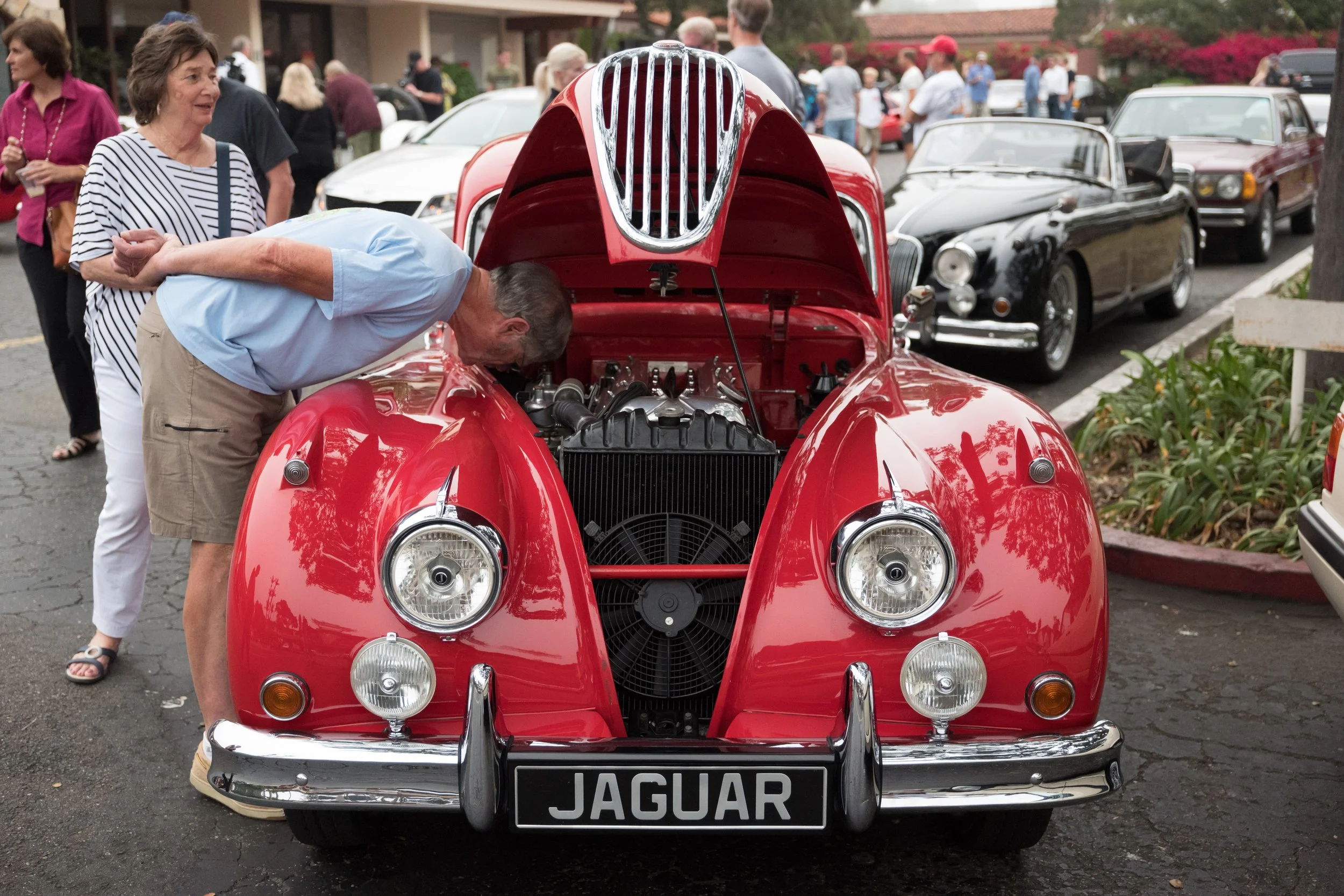 1950 Jauguar XK-140.jpg