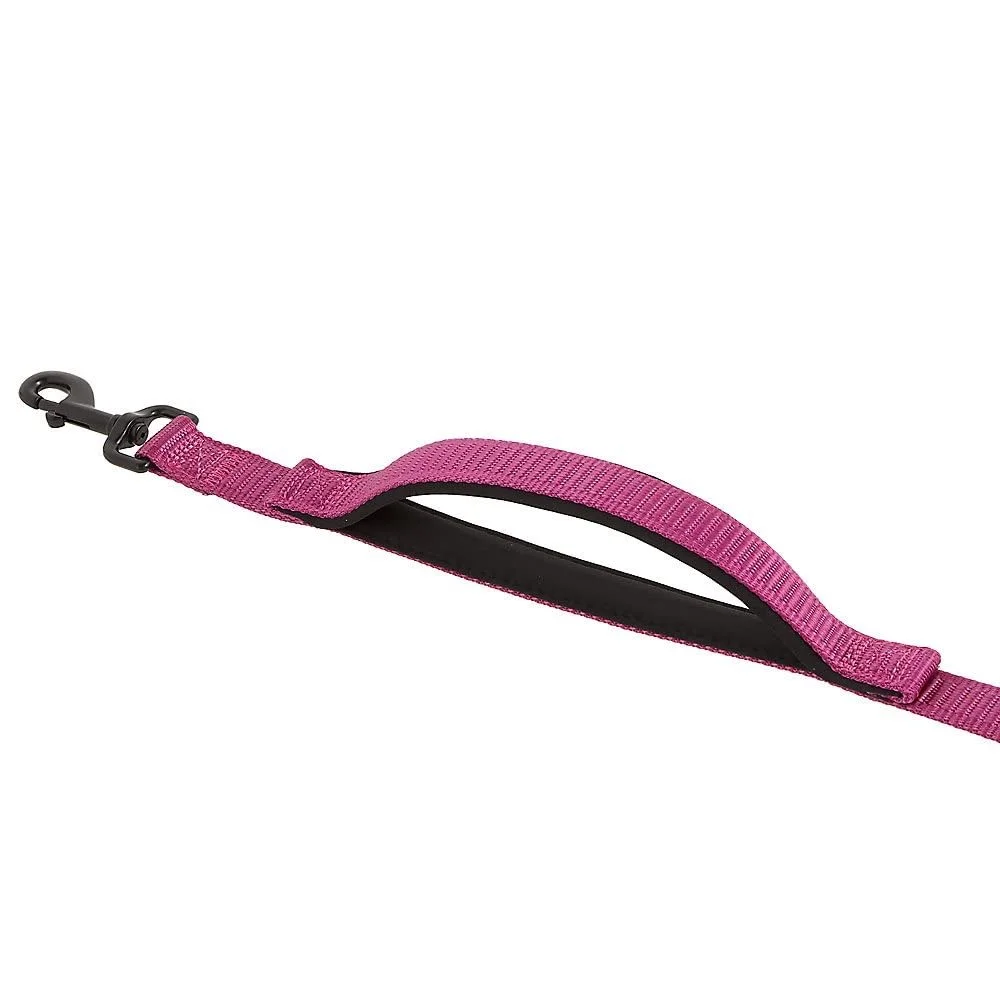 pet leash kong padded handle traffic dog leash