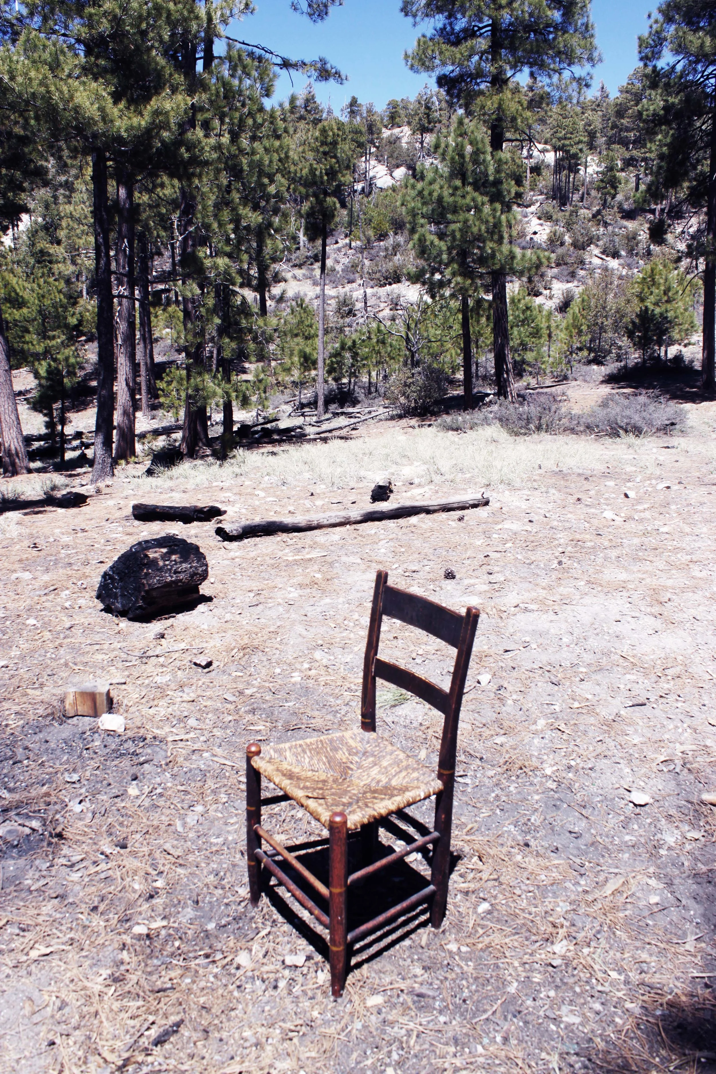 chair in the dirt in a clearing in the woods, an abandoned campsite and a charred log is in the background