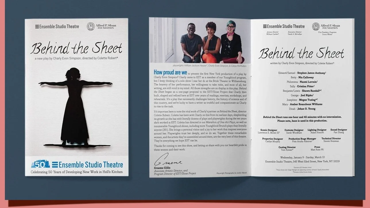 Tri-fold brochure for Ensemble Studio Theatre with a front cover featuring a silhouette of a woman, an interior page showing a group's photo with three people, and text about the theatre's history and production details.