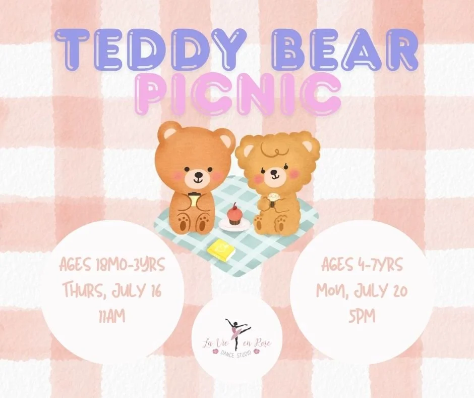 Toddler Teddy Bear Picnic