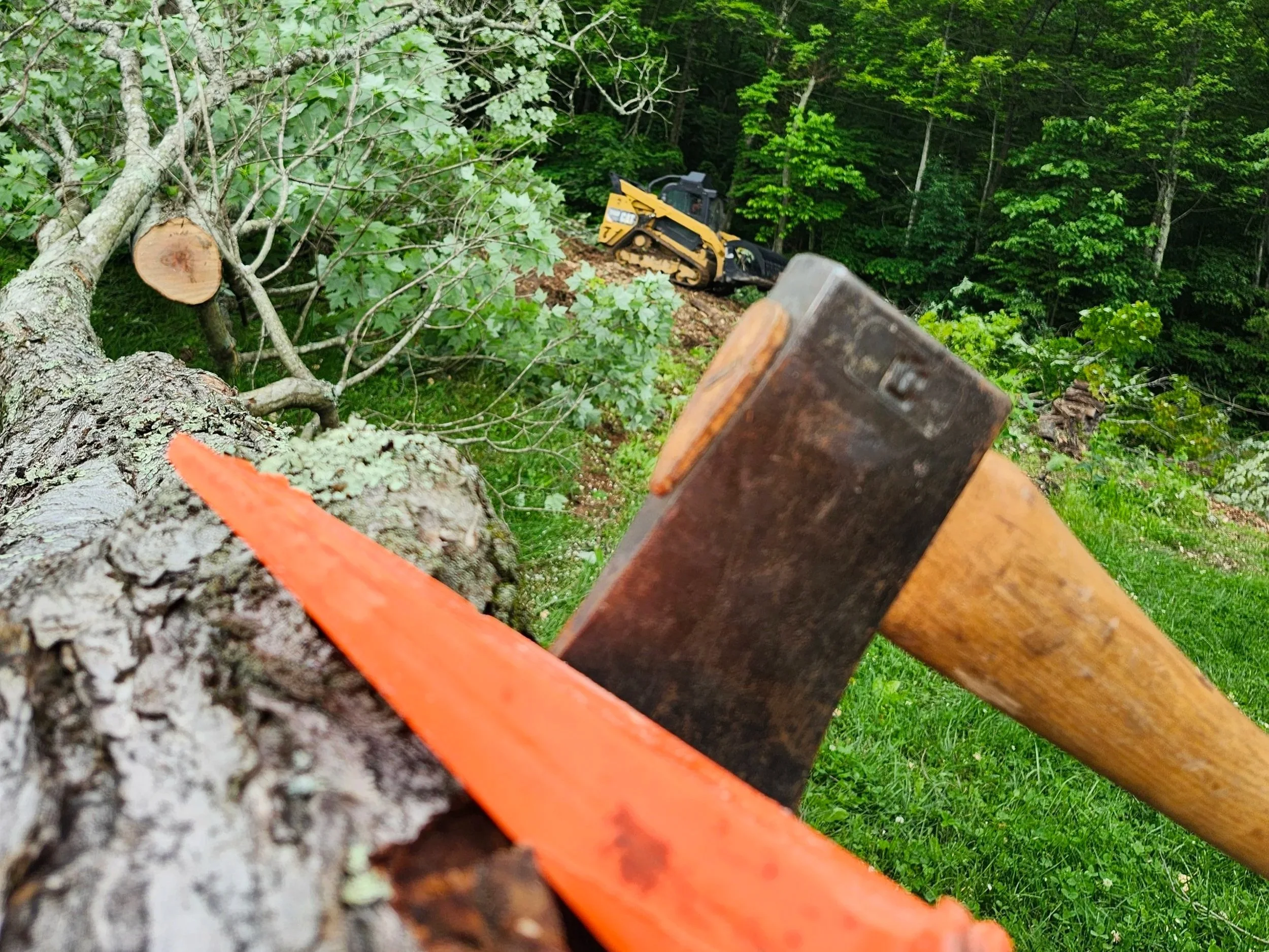 Owner-operated skid steer fitted with a grapple parked next to a freshly felled tree, with an axe and wedge in the foreground, illustrating mechanized clearing and manual felling during land clearing.