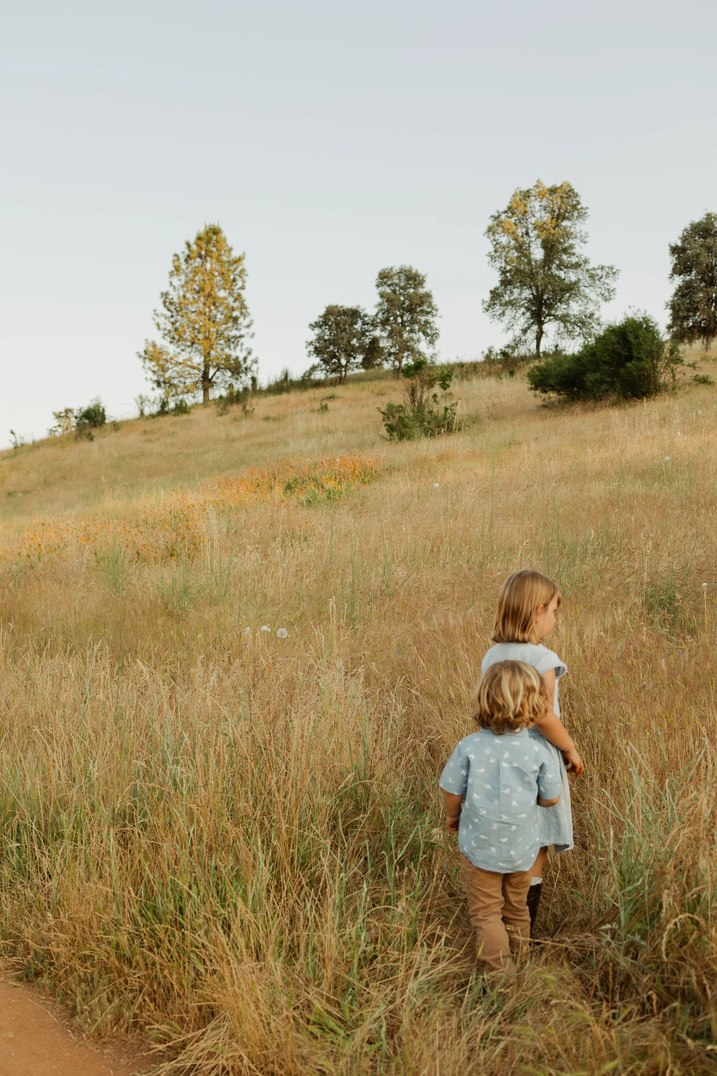Two children, a girl and a boy, walking through tall grass in a grassy field with few trees on a hill, under a clear sky.