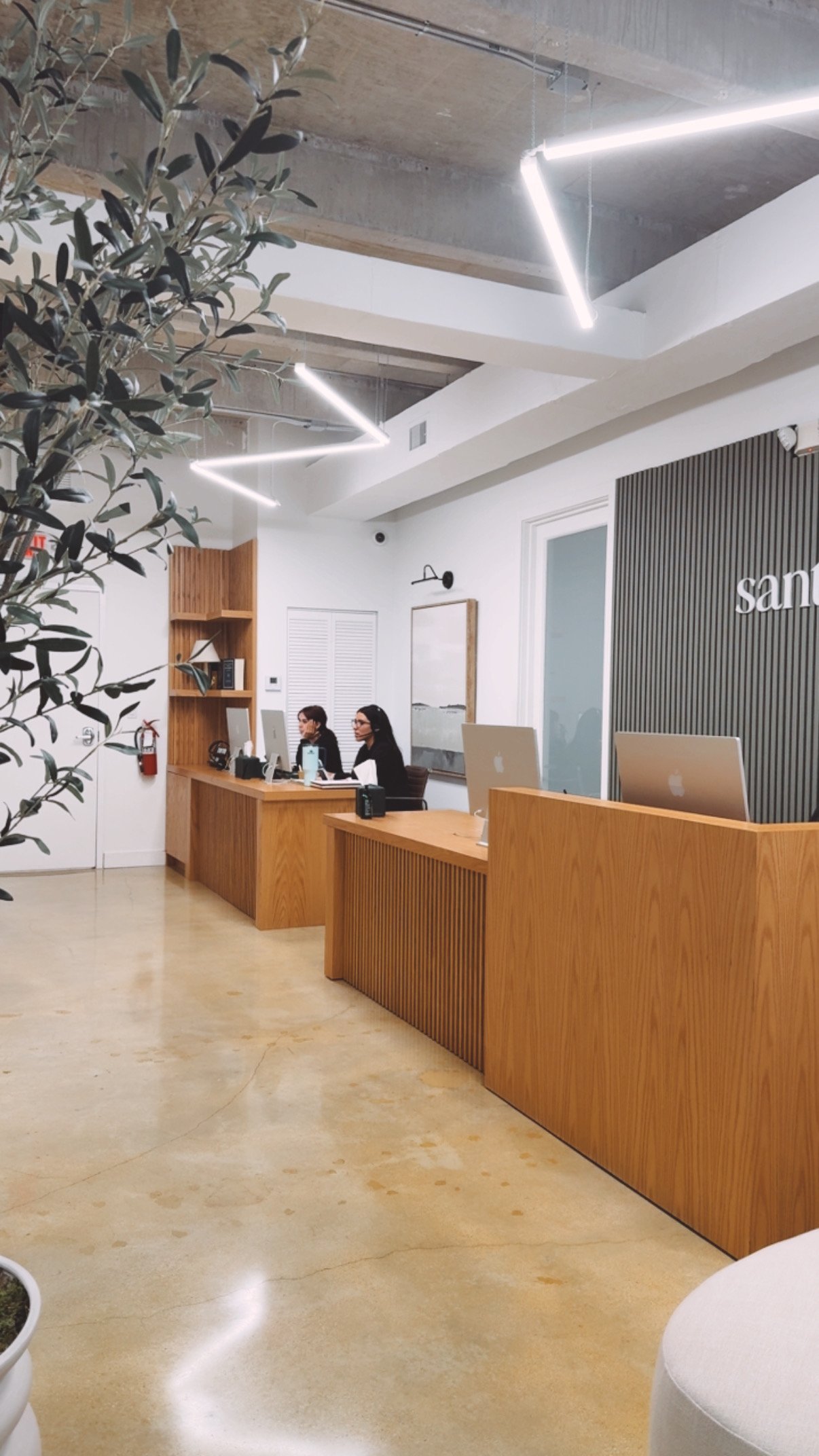 Modern reception area with wooden desks, two women working on computers, white walls, a large plant, and contemporary geometric lighting fixtures.