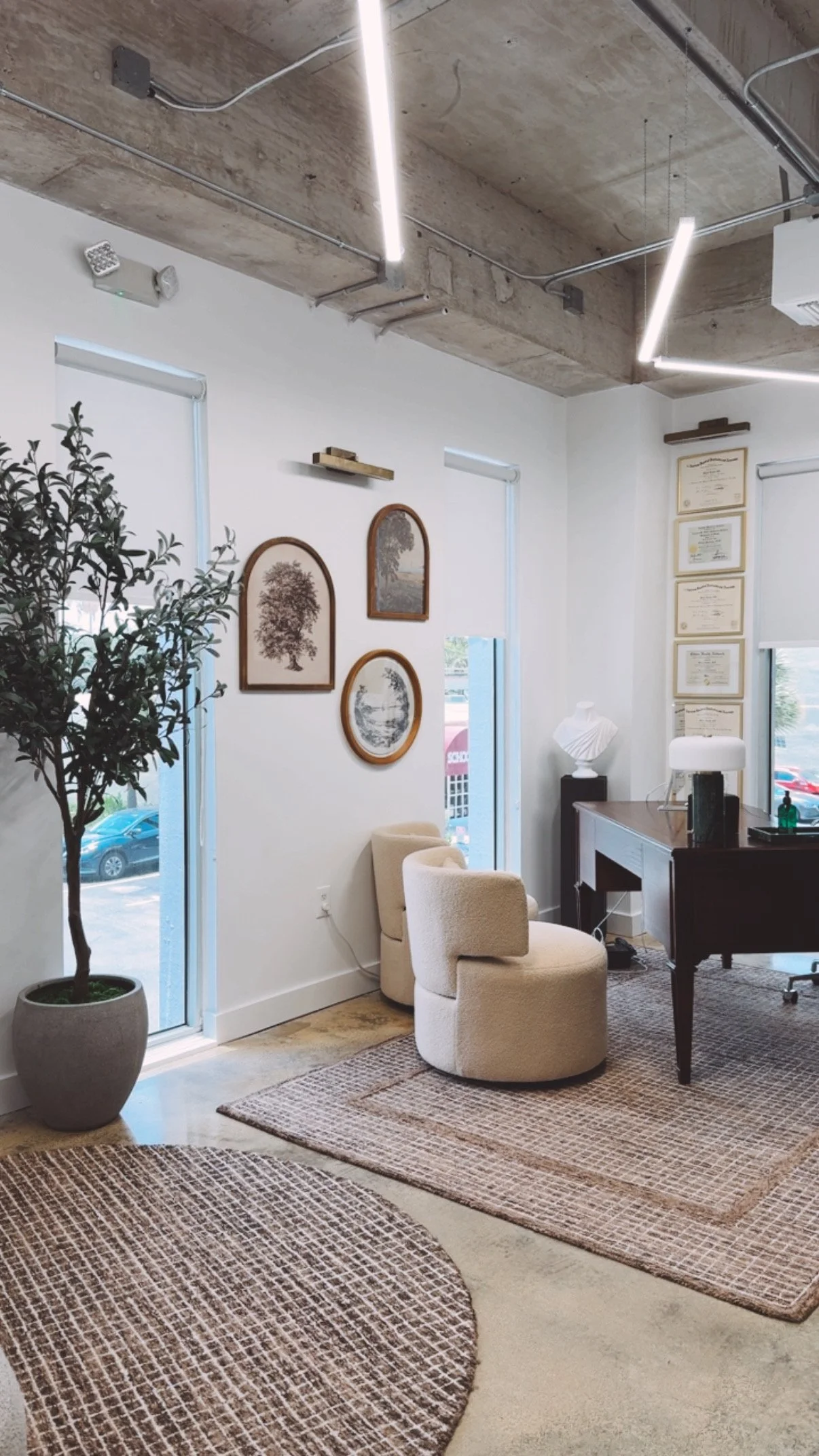 A cozy office or lounge area with cream-colored chairs, a desk with accessories, framed artwork on the wall, and a large potted plant near a window with blinds, with rug accents and an exposed concrete ceiling with lighting fixtures.
