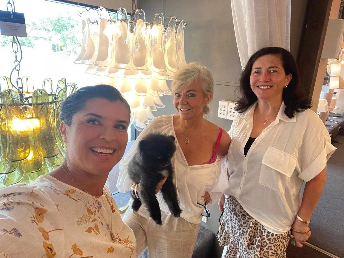 Lovely seeing Wisteria&rsquo;s Josephine Chandeliers on display and visiting Tracey, Kimberley and Bear at @urbanlighting in Willoughby.⁠
⁠
They absolutely loved our new lighting samples - always so special to share what&rsquo;s new with passionate i