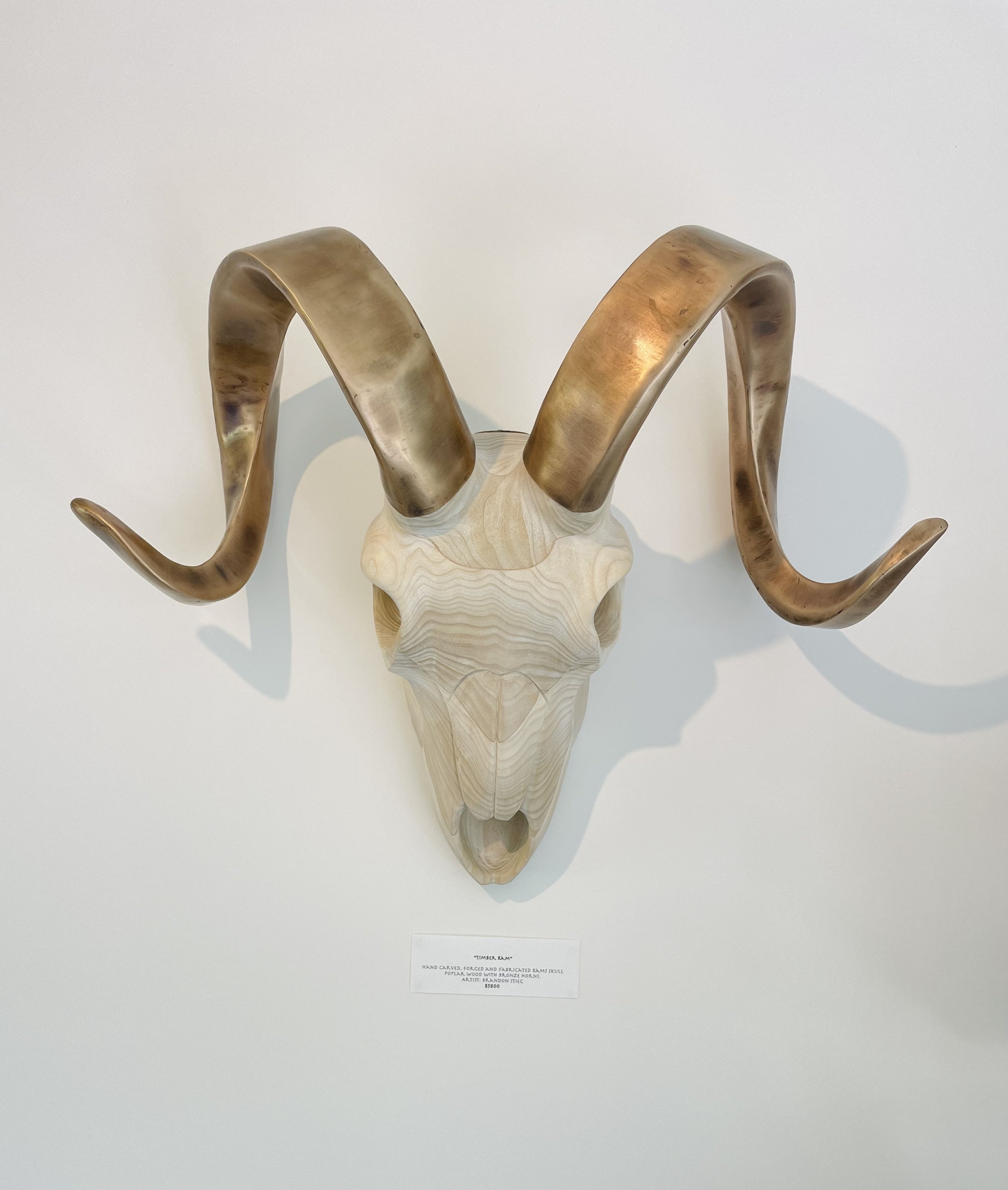 TIMBER RAM
