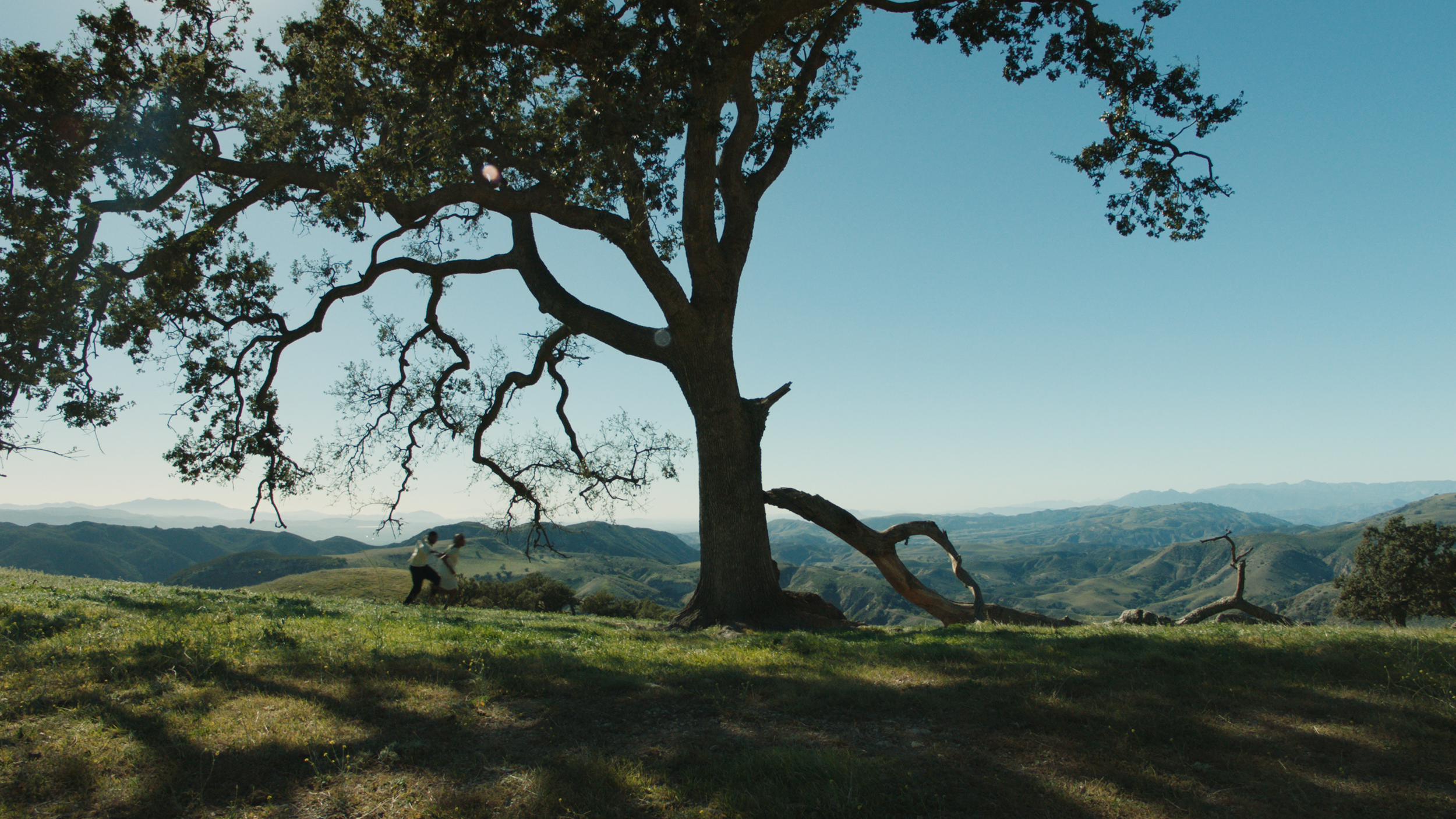 Sequence 05.00_00_12_12.Still012.png