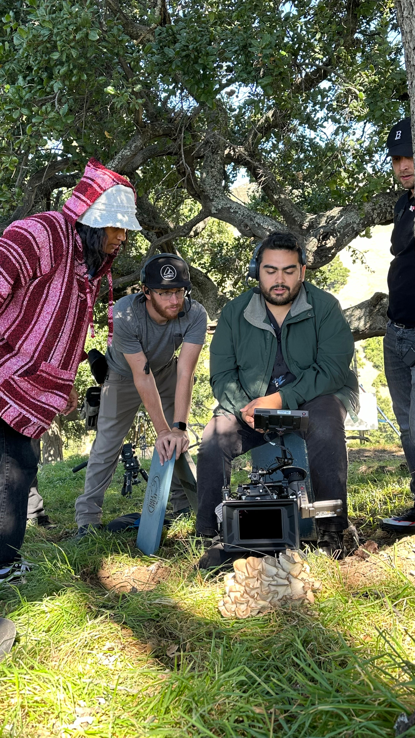 Untitled design (8).png