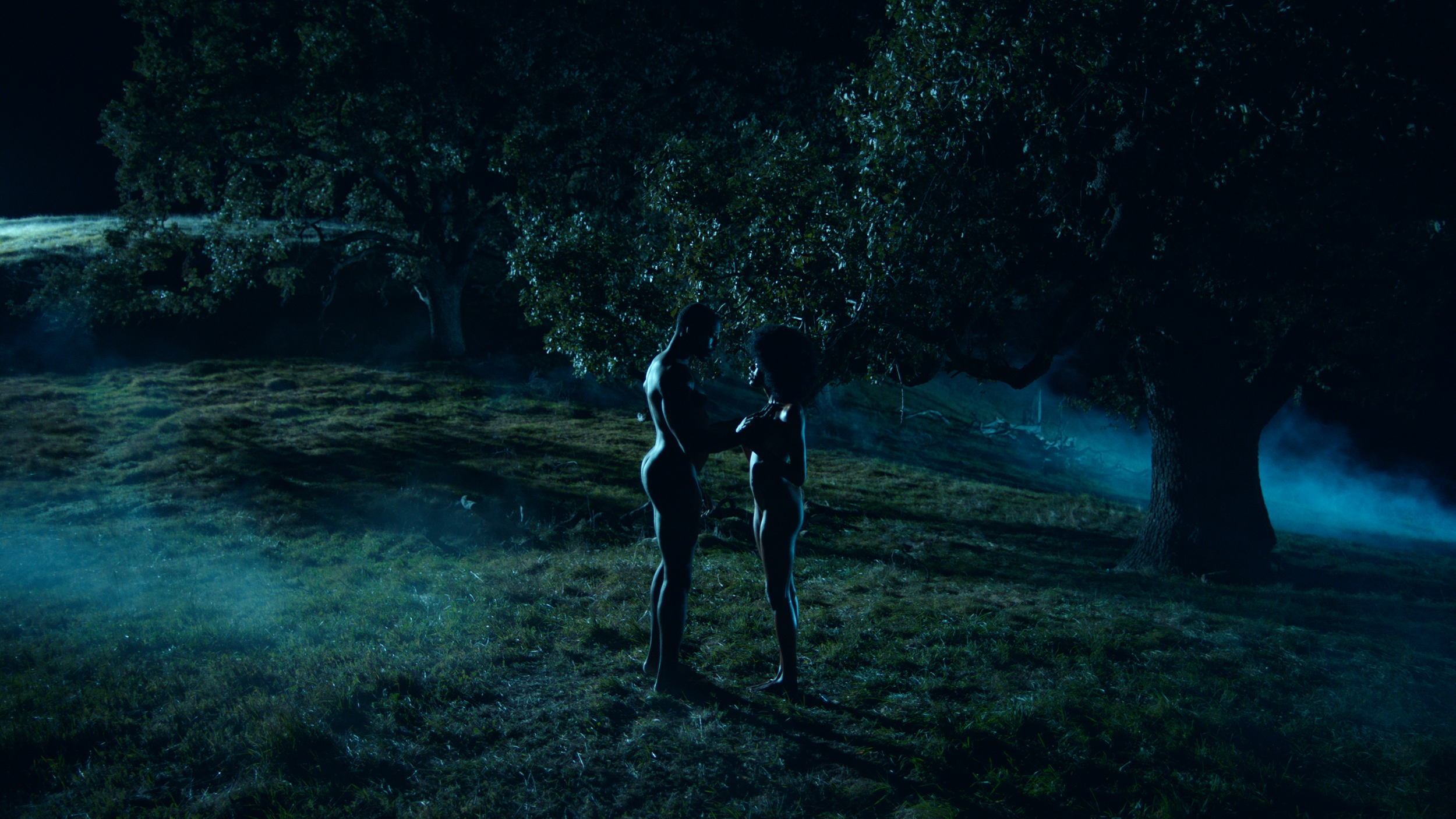 Sequence 05.00_05_54_02.Still003.png