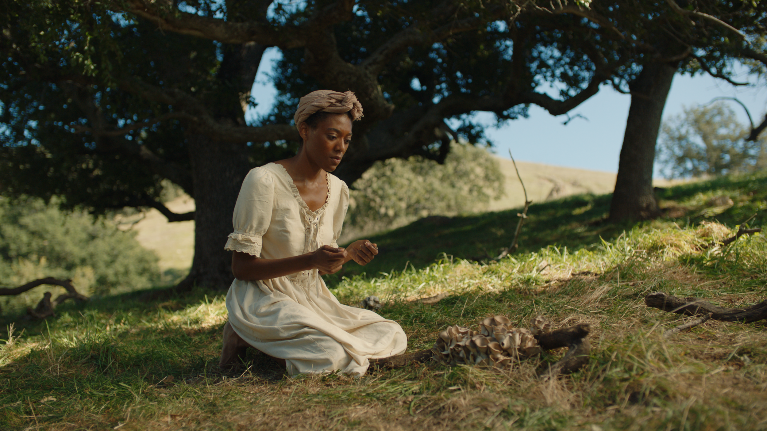 Sequence 05.00_03_12_12.Still023 (1).png