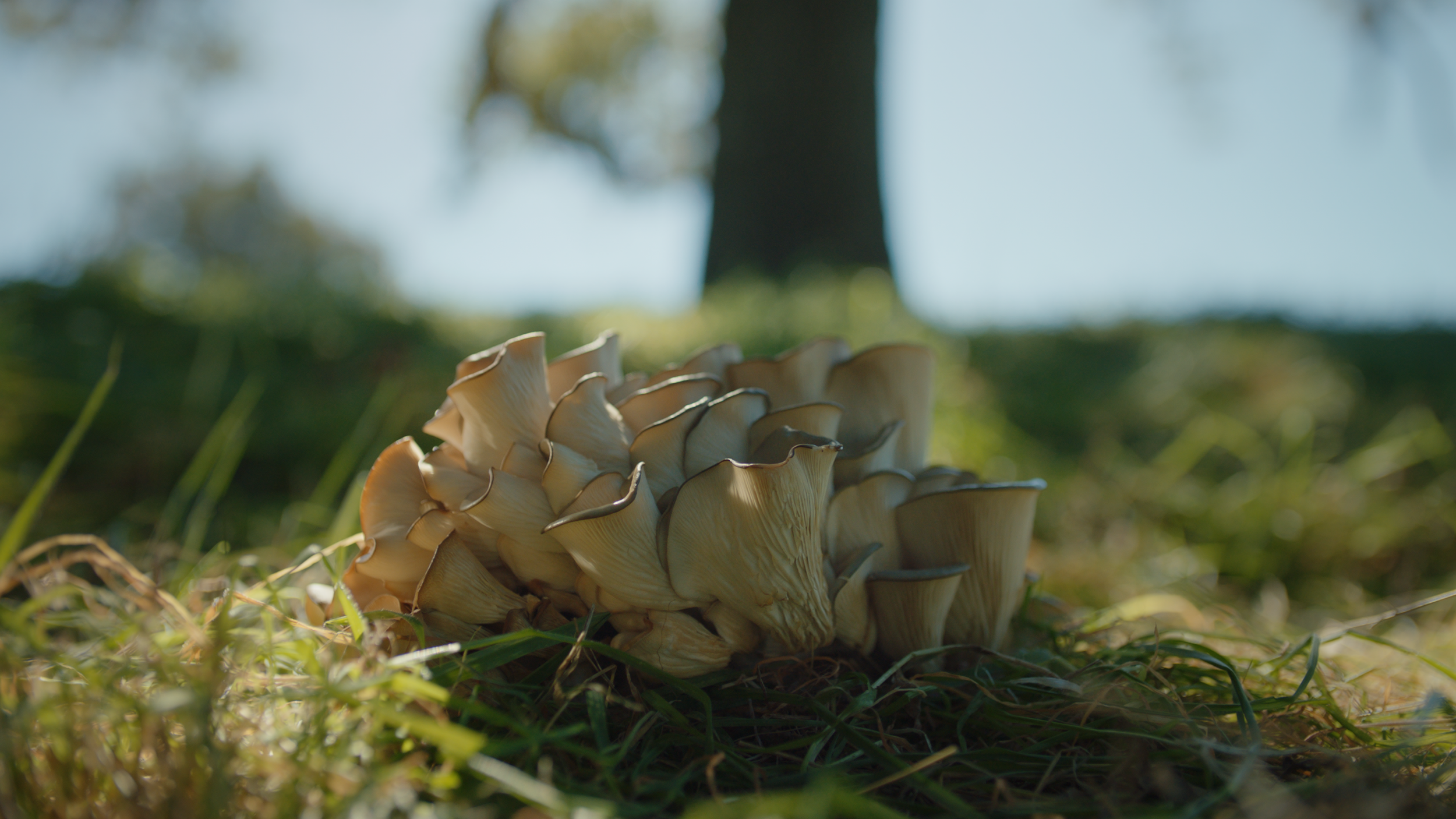 Sequence 05.00_06_40_15.Still020.png