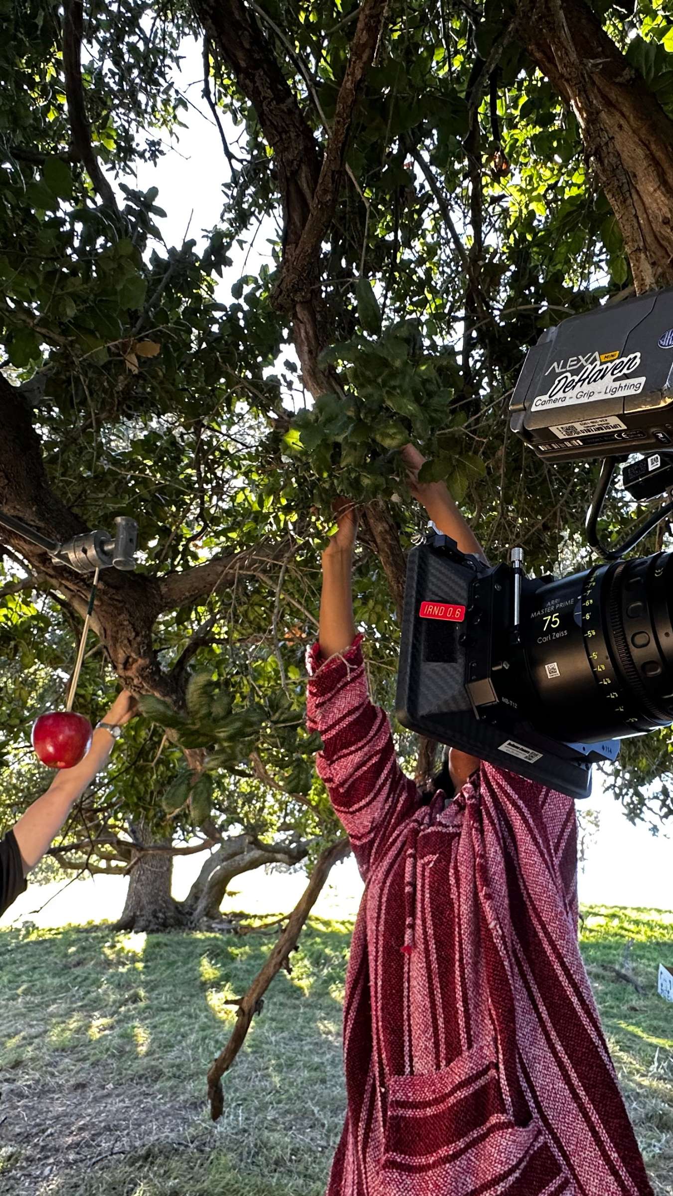 Untitled design (9).png