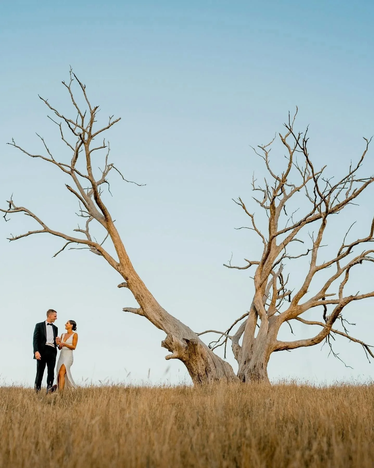 Private property weddings? That's our fave!
They come with a lot of moving parts - think all the logistics, the toilets, generators, cool rooms, lighting, furniture, napkins, bar supplies, cutlery (even the teaspoons!) etc etc etc 🤪
- but when it al