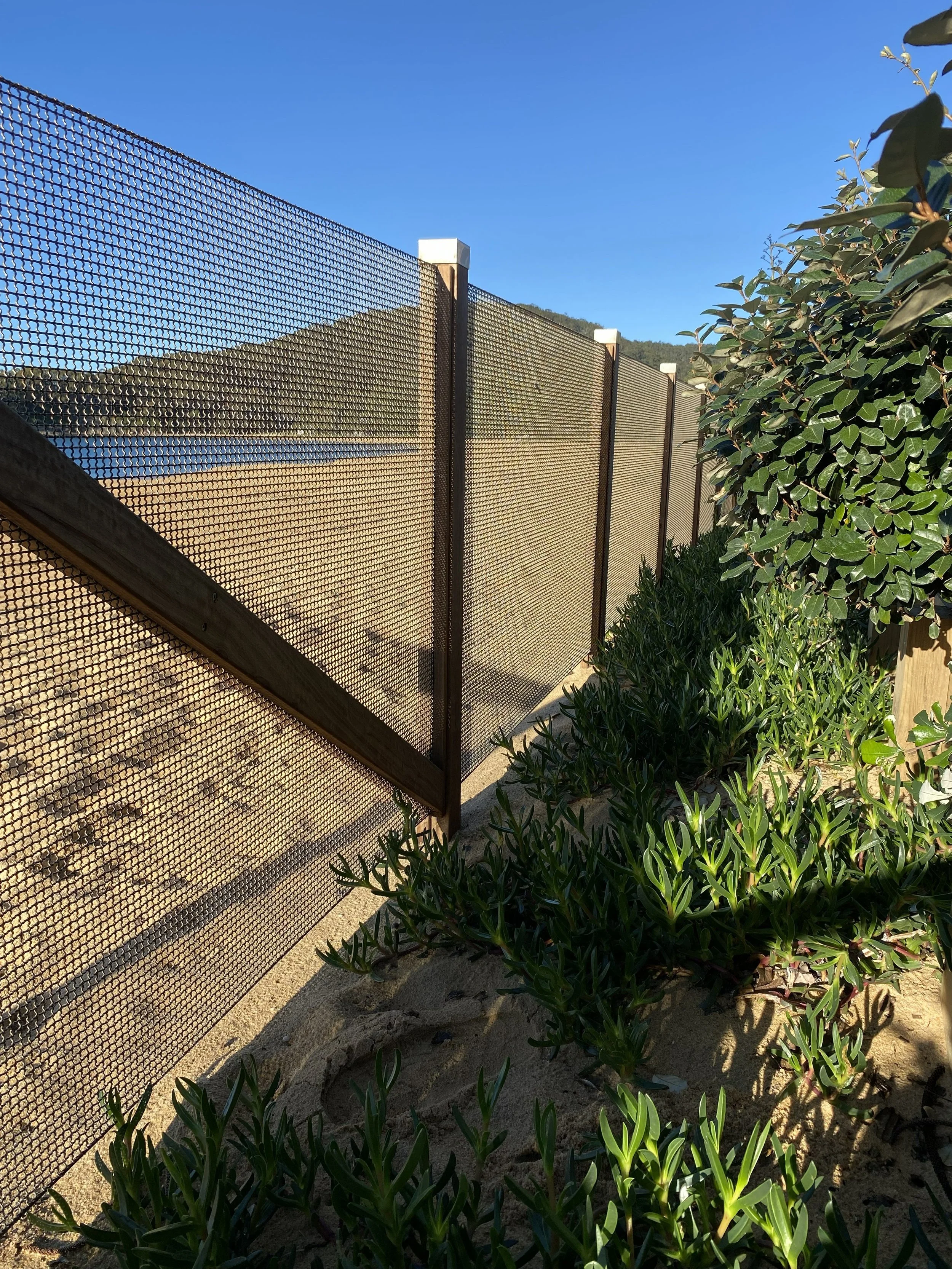 Rear Fence 2.jpeg