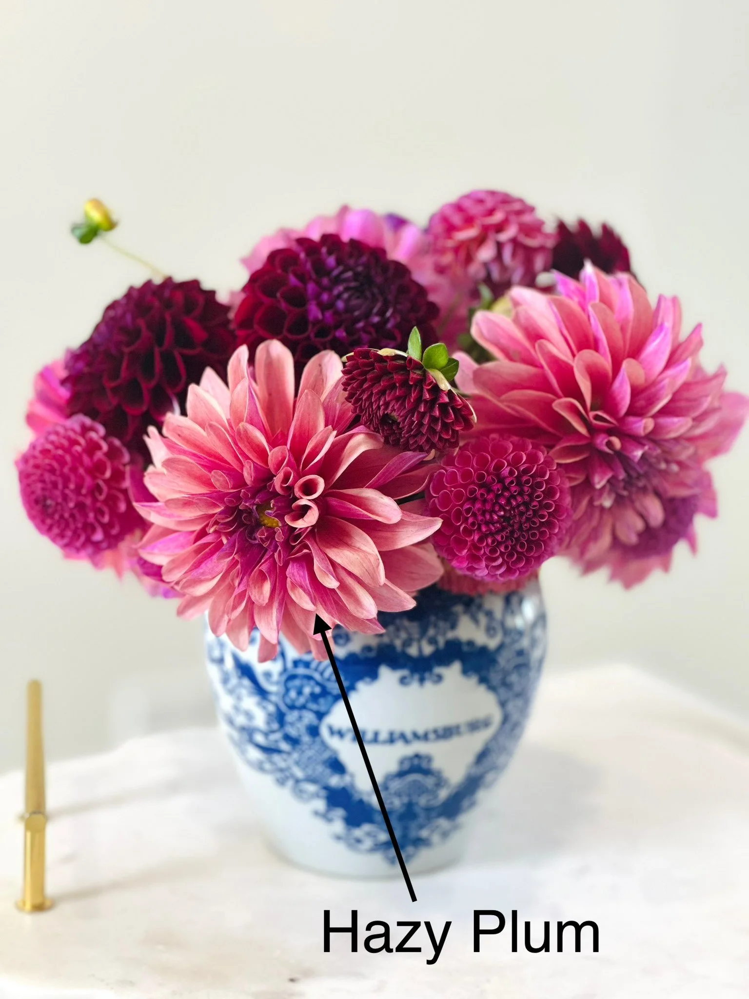 Hazy Plum 3.jpeg