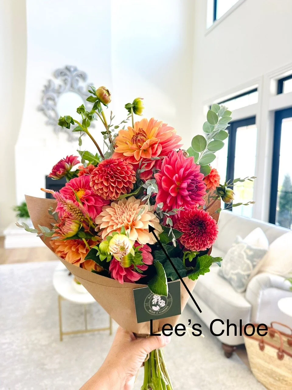 Lee’s Chloe .jpeg