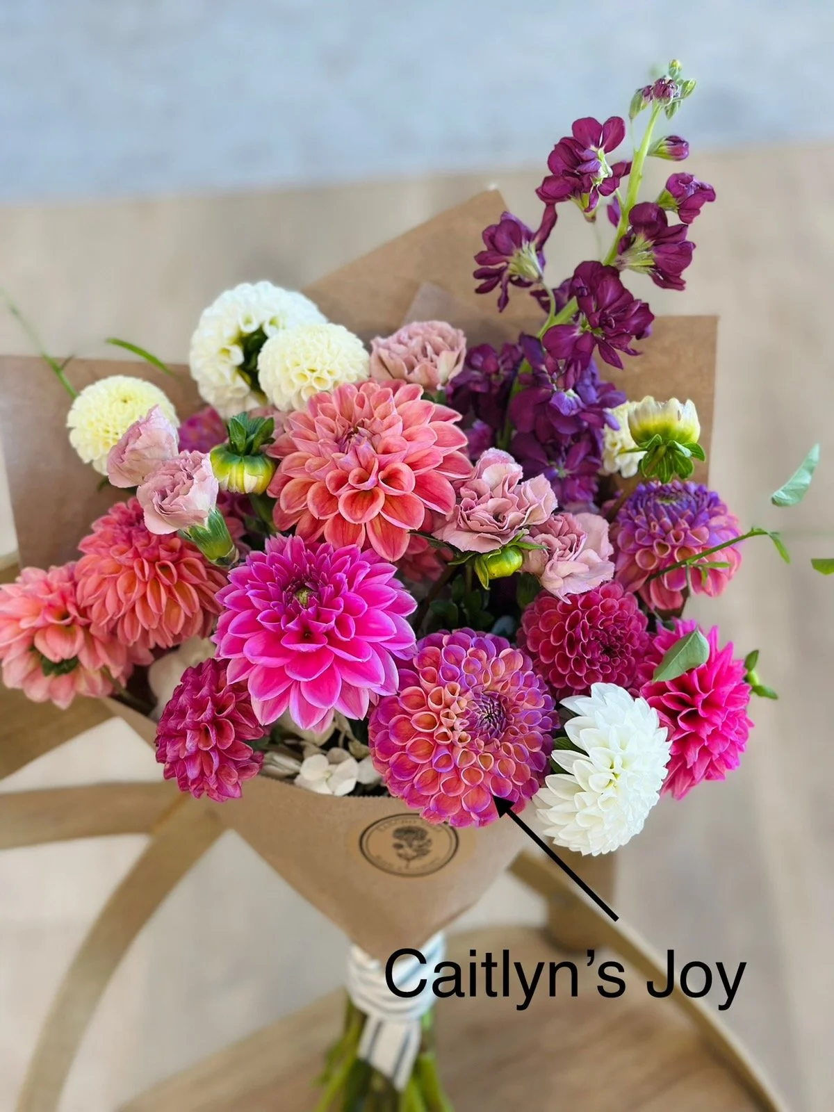 Caitlyn’s joy.jpeg