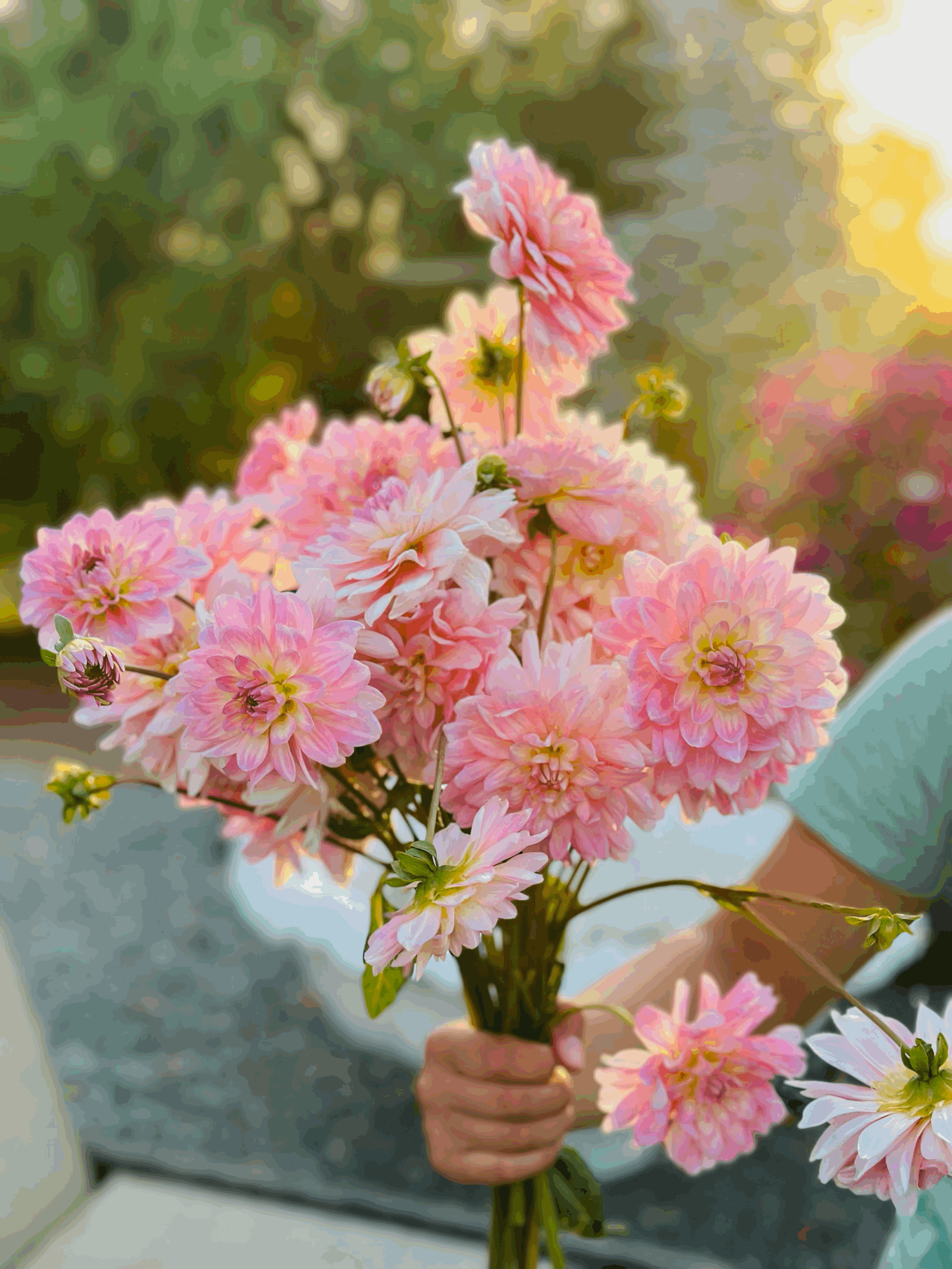 Gerrie Hoek (seed parent)