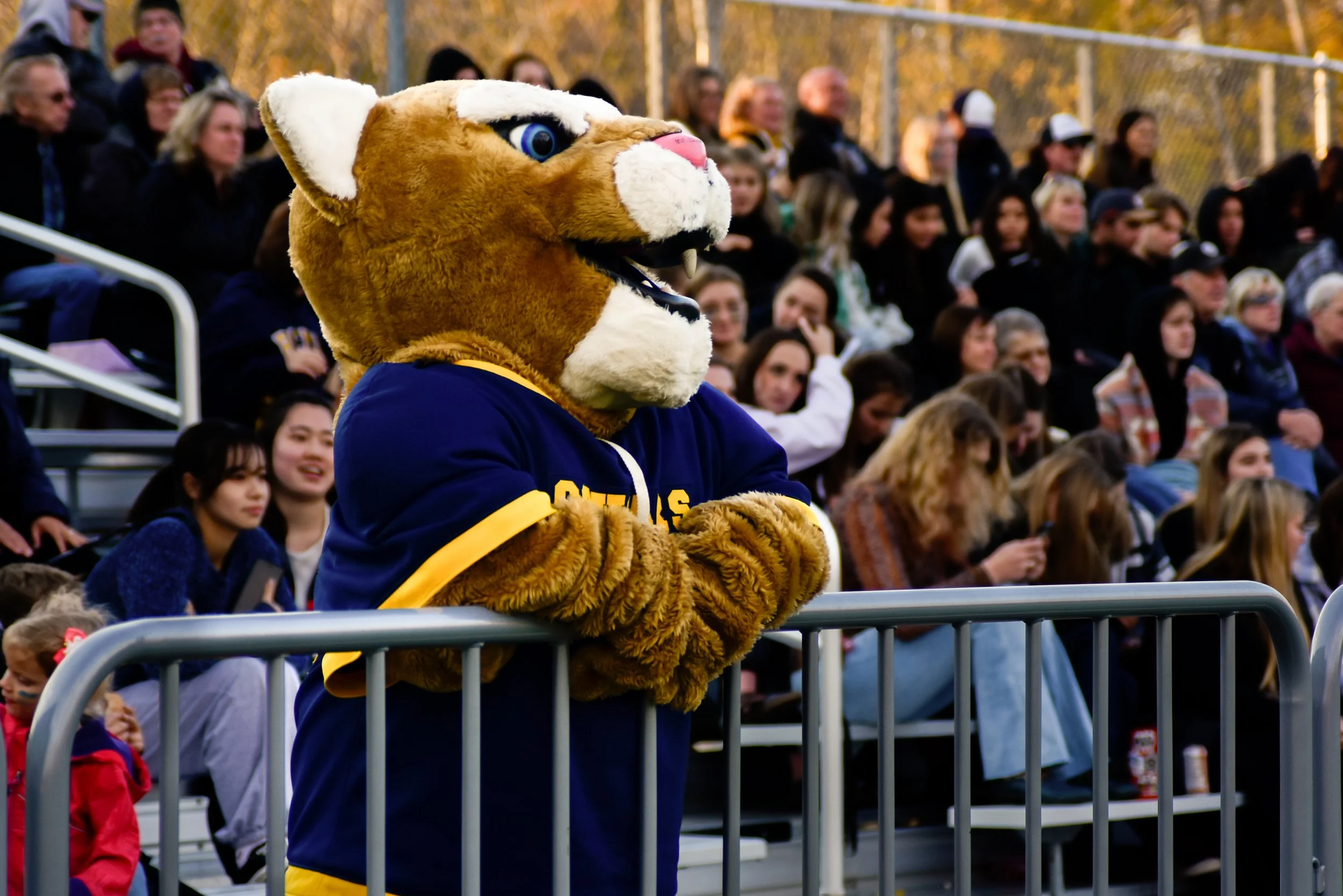 A person dressed in a lion mascot costume leaning on a metal railing at a sports event with an audience seated in bleachers behind.