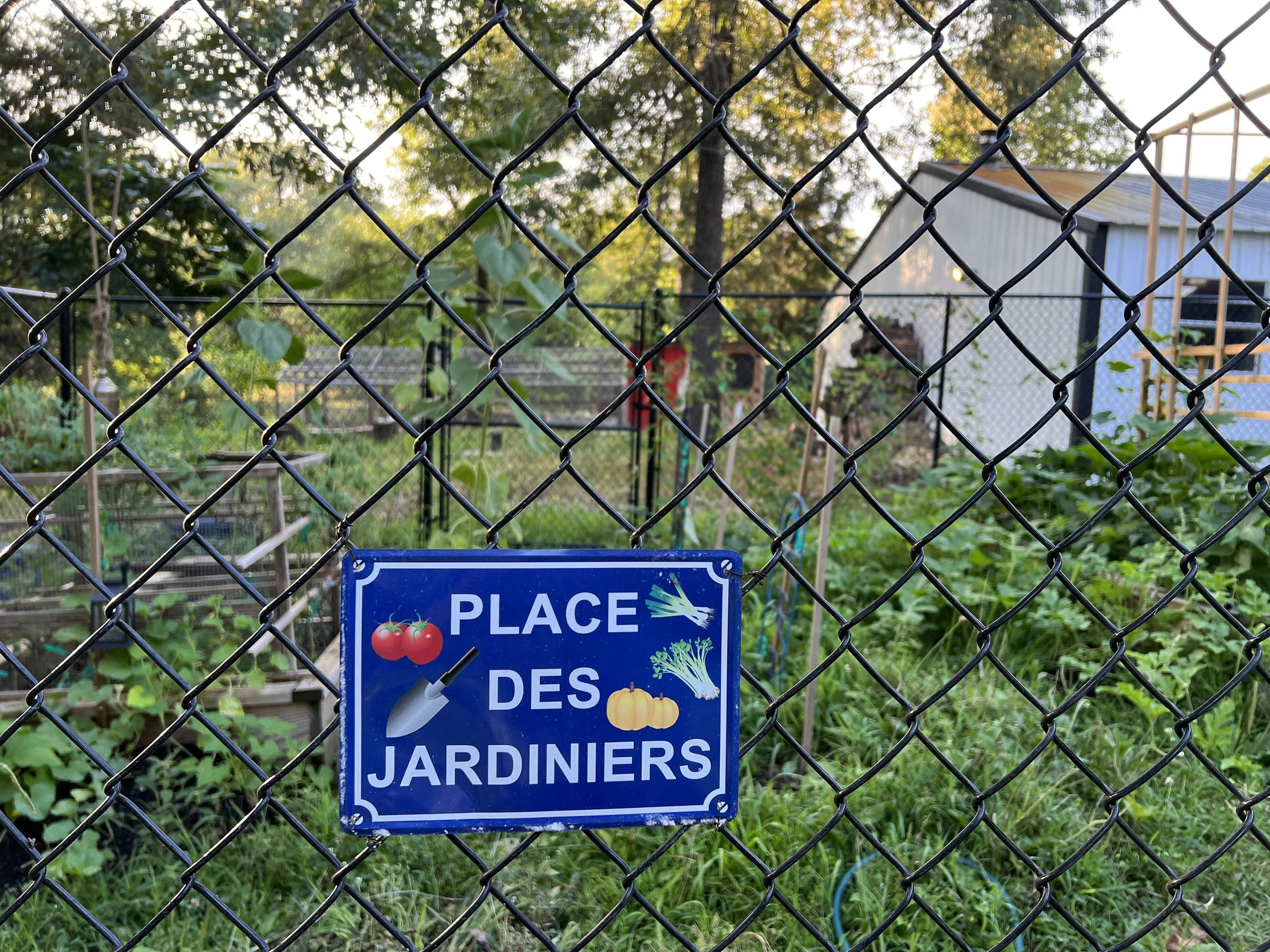 Listing garden chain link and beds.jpg