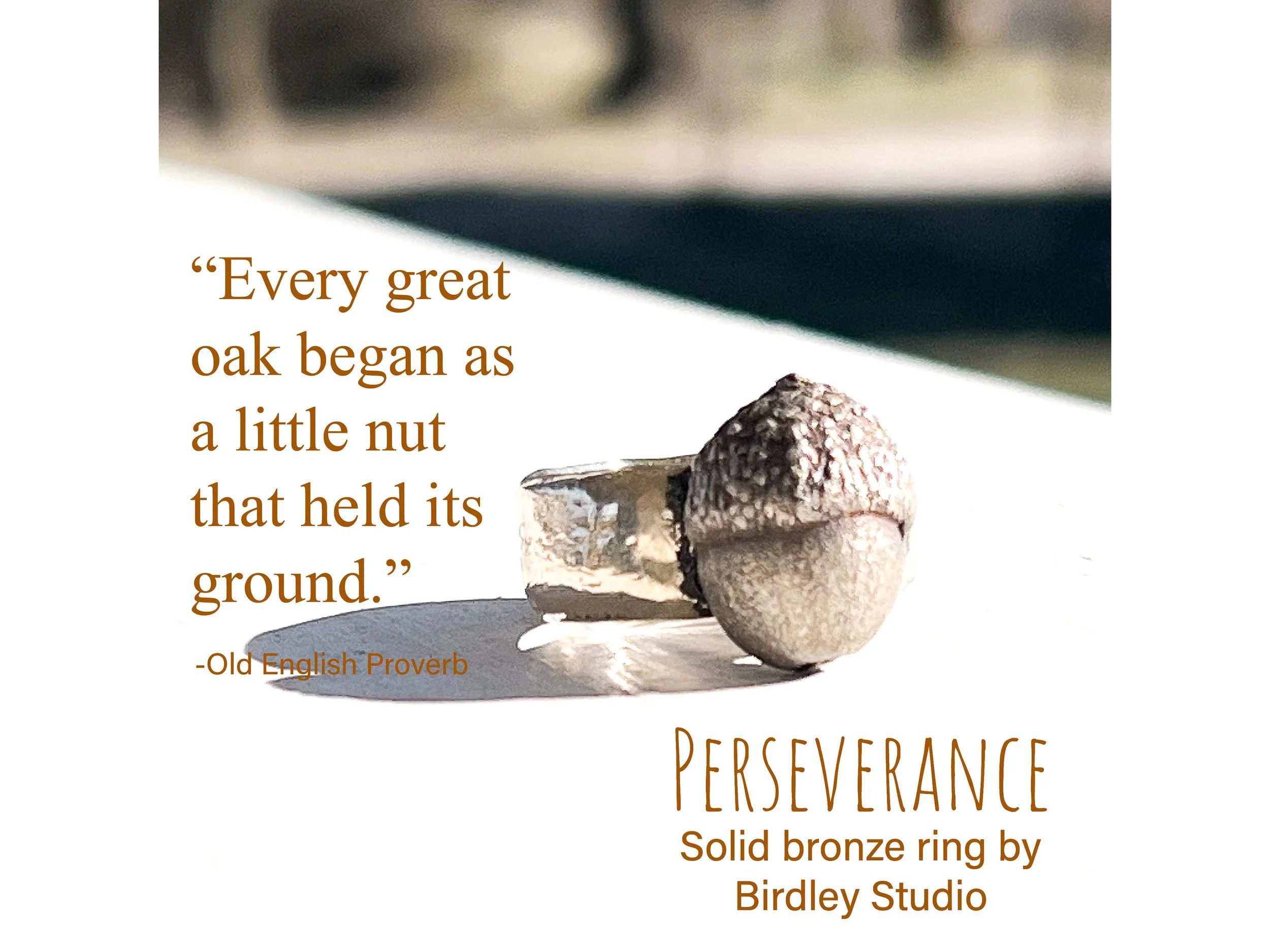 acorn-ring-bronze-perseverance-inspirational-quote-birdley-studio.jpg