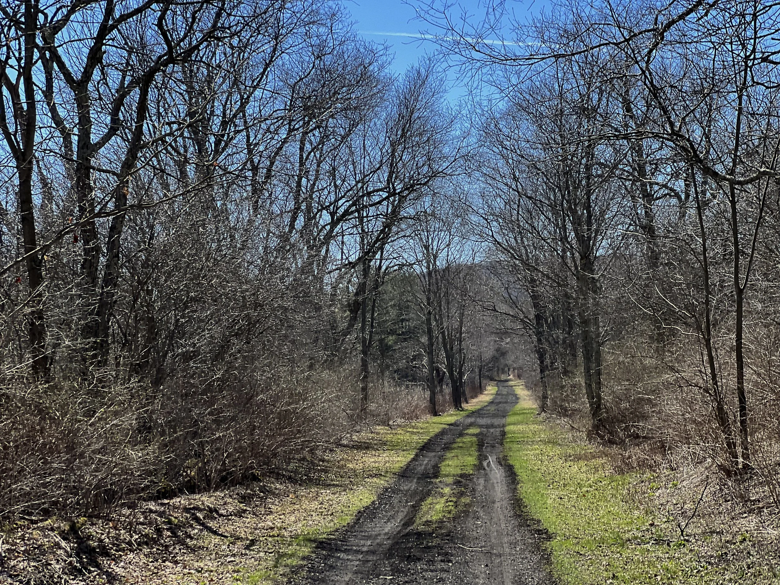 Listings catskill rail trail.jpg