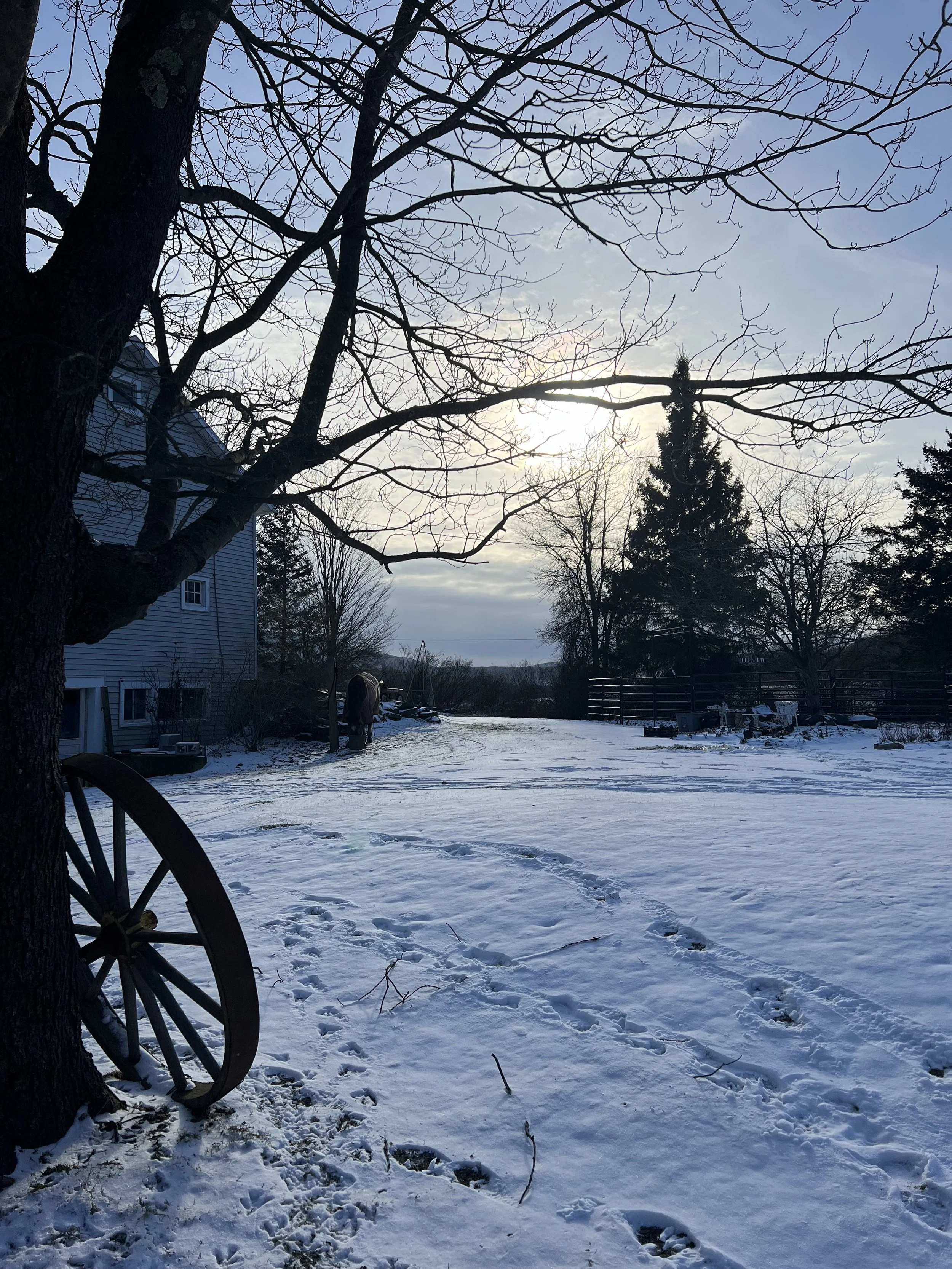 Listing crisp snow early sunset.jpg