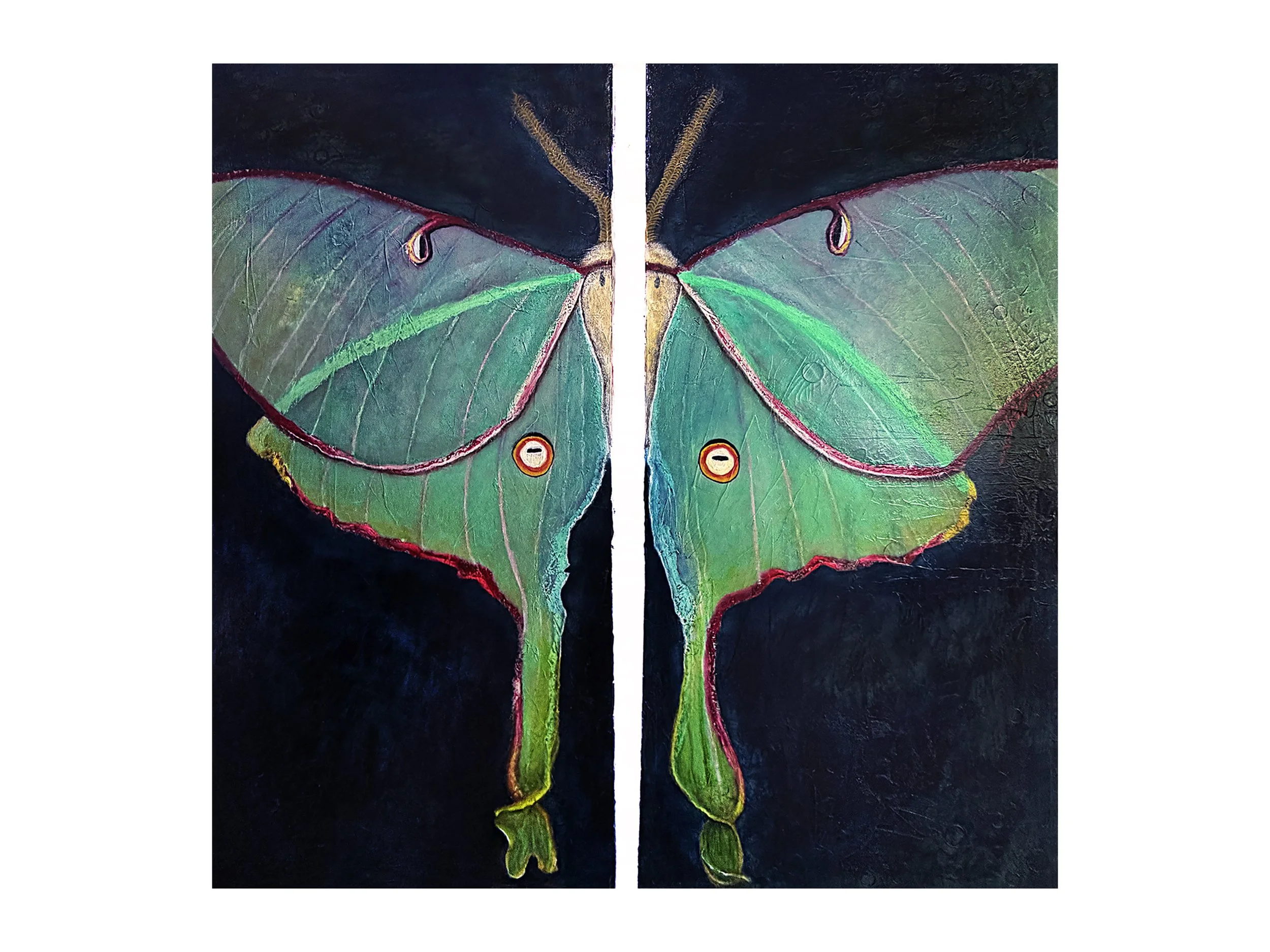 Original Diptych Oil Painting on Venetian Plaster & Canvas: "Queen of the Night," 4' x 4'