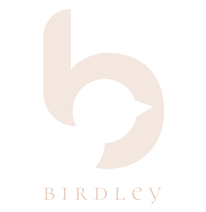Birdley Studio of Art &amp; Design