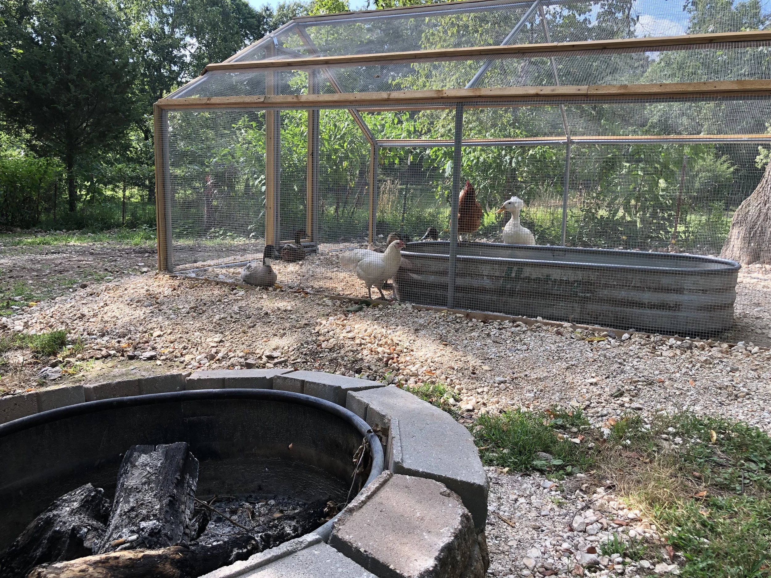 Listings fire pit and safe coop in fayetteville.jpg