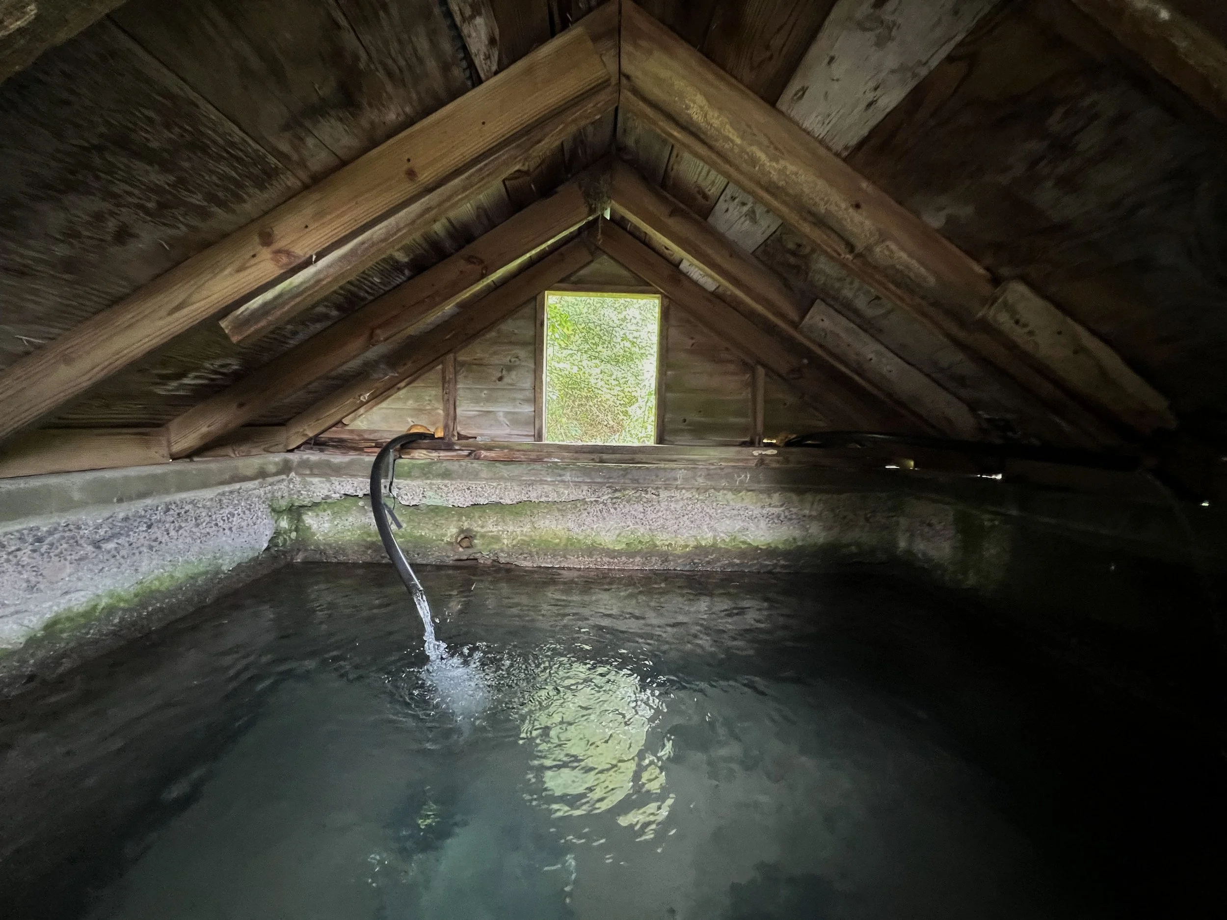 Listings spring fed house source original spring.jpg