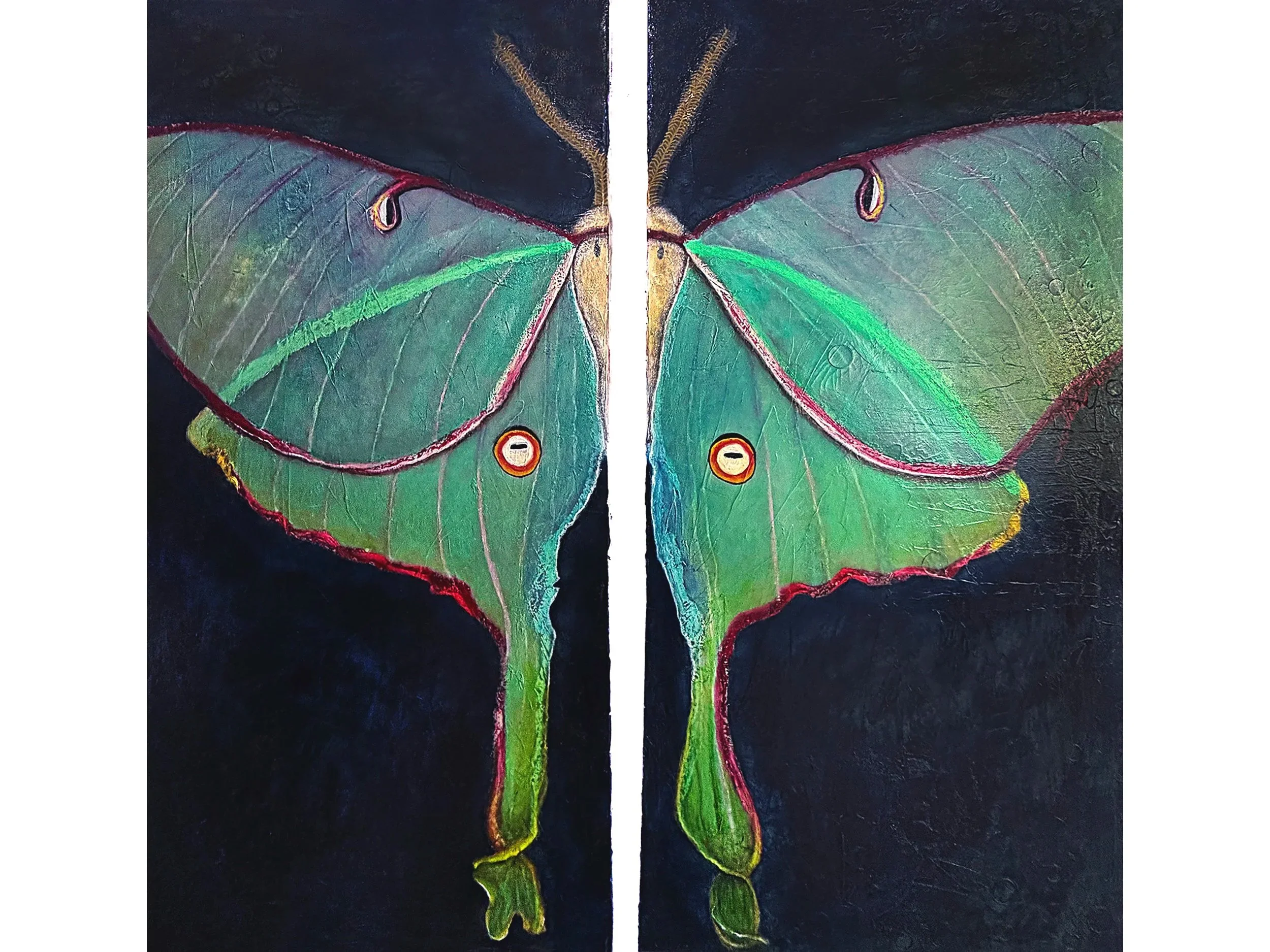 Luna-moth-oil-painting-master-lauren-berley-birdley-studio.jpg